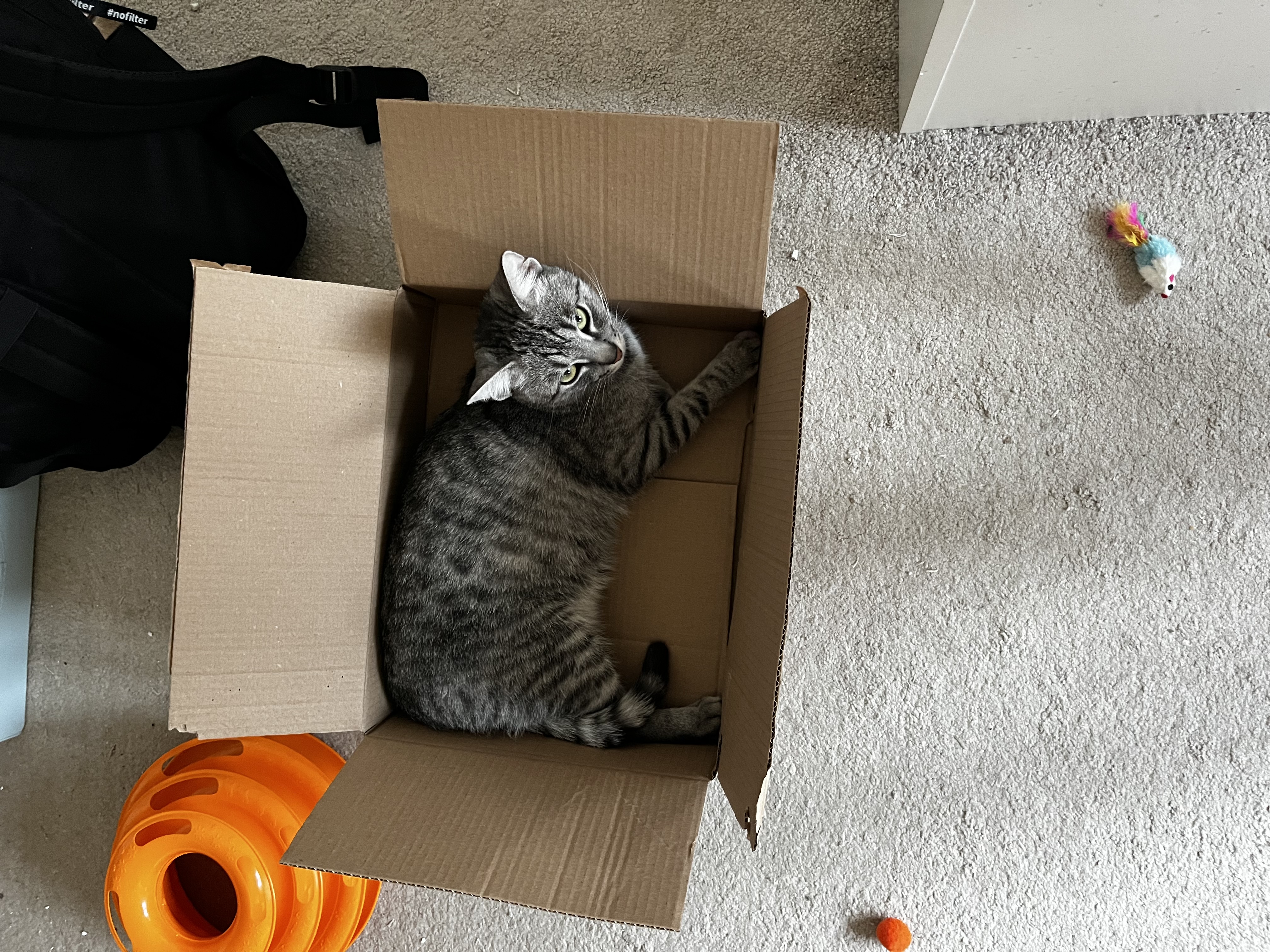 Dobré ruce, z.s. foto 3