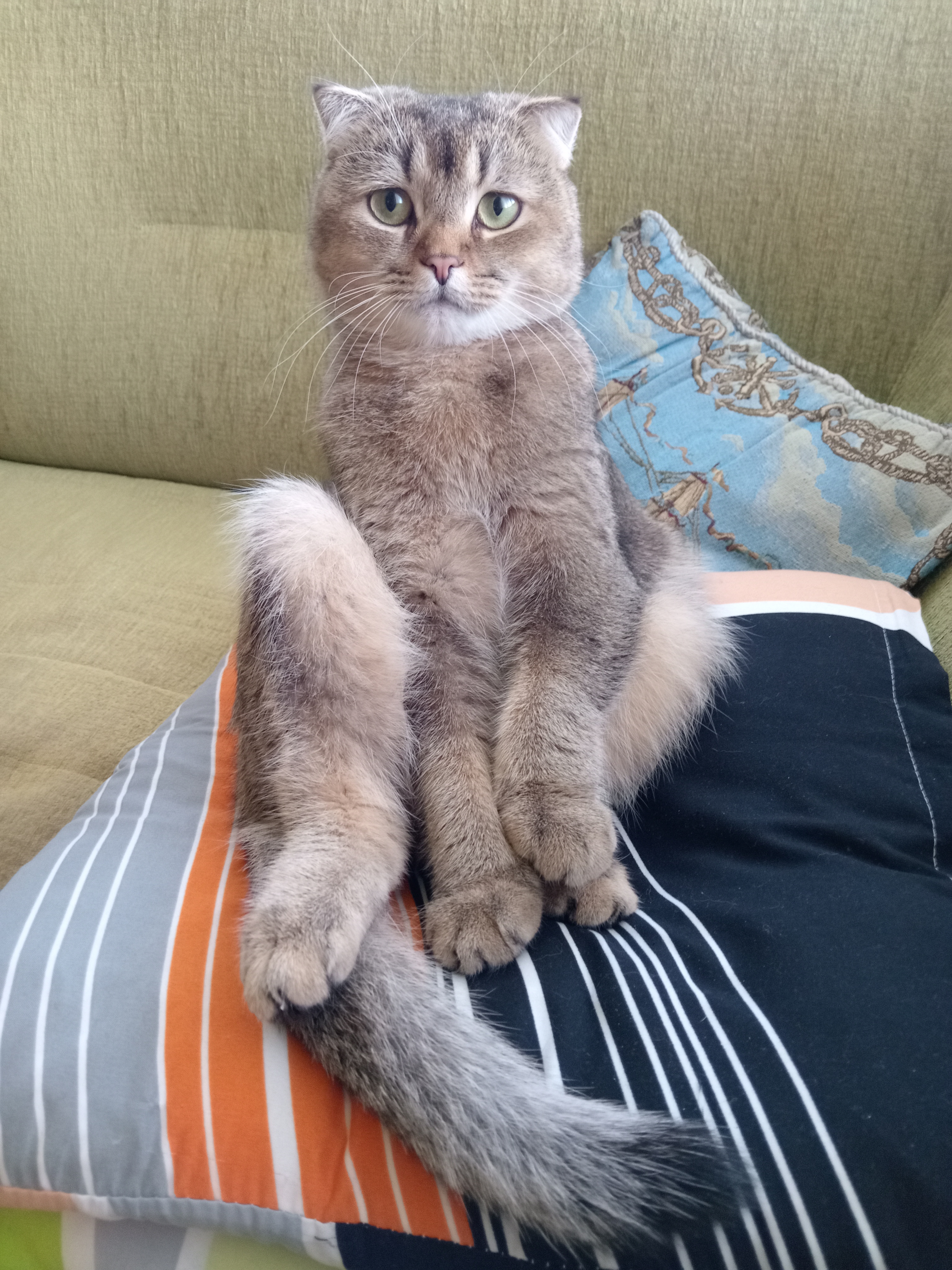 Proutulky.cz foto 2