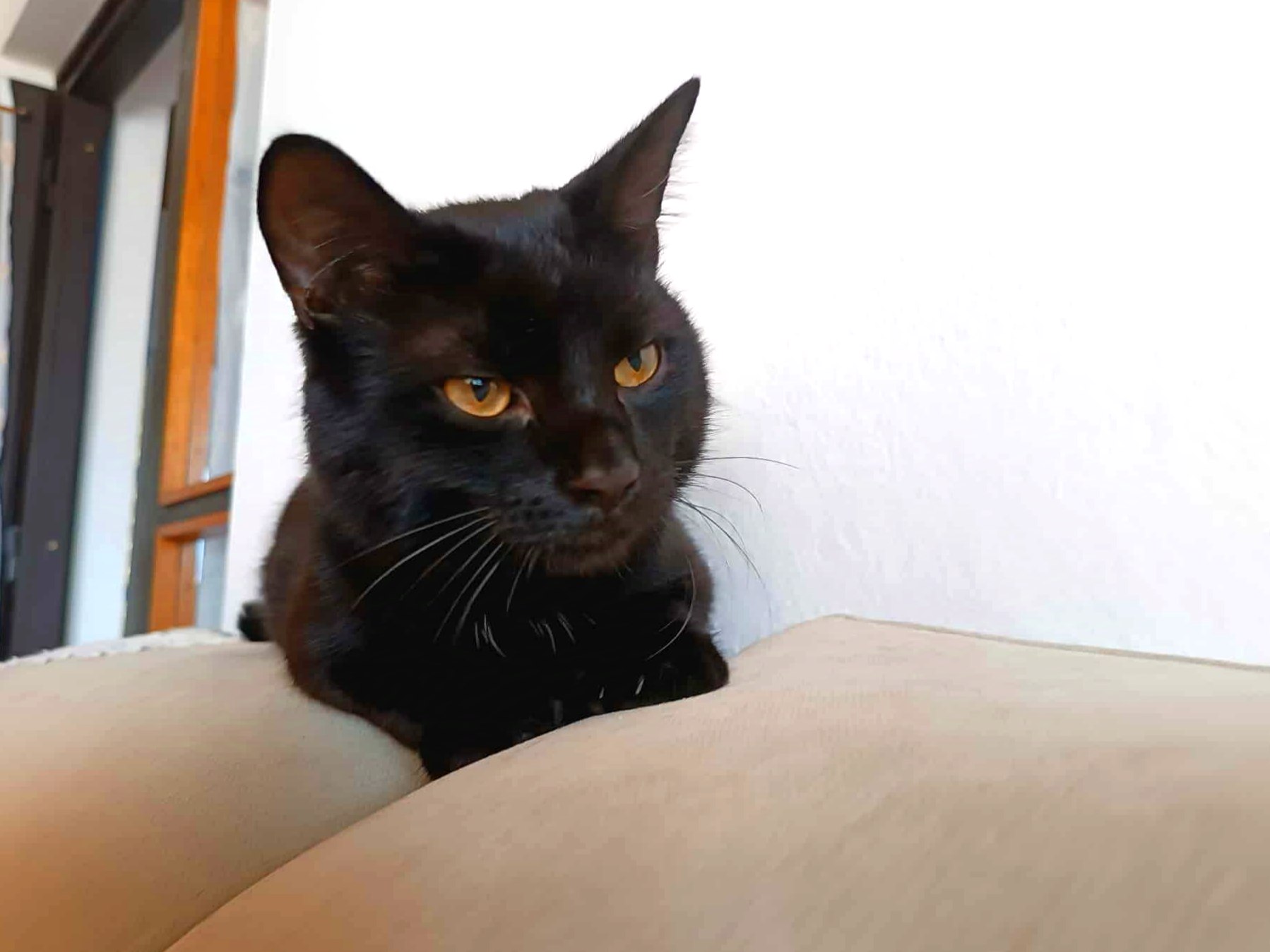 Dobré ruce, z.s. foto 4