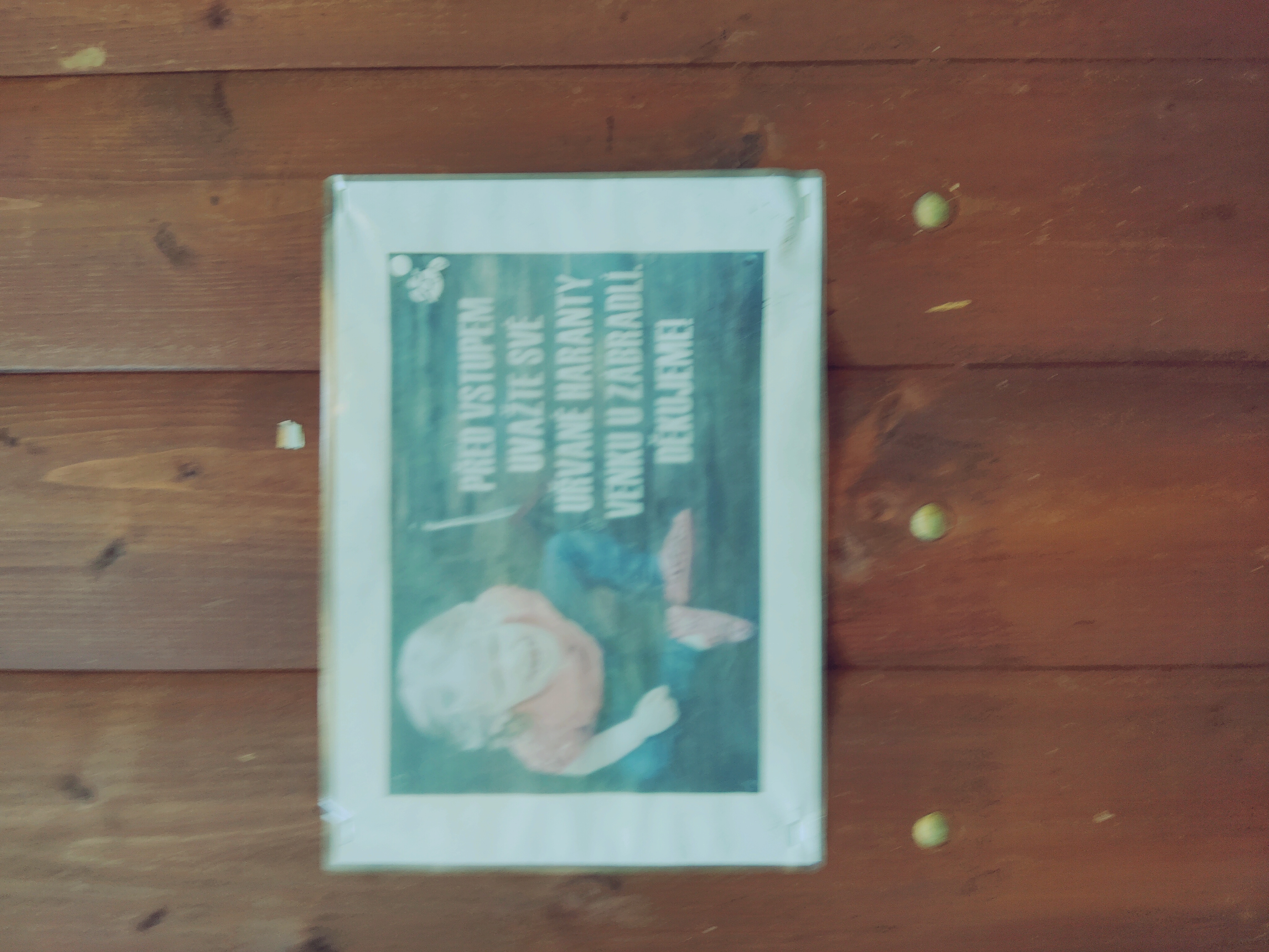 Pizza Semetín foto 3