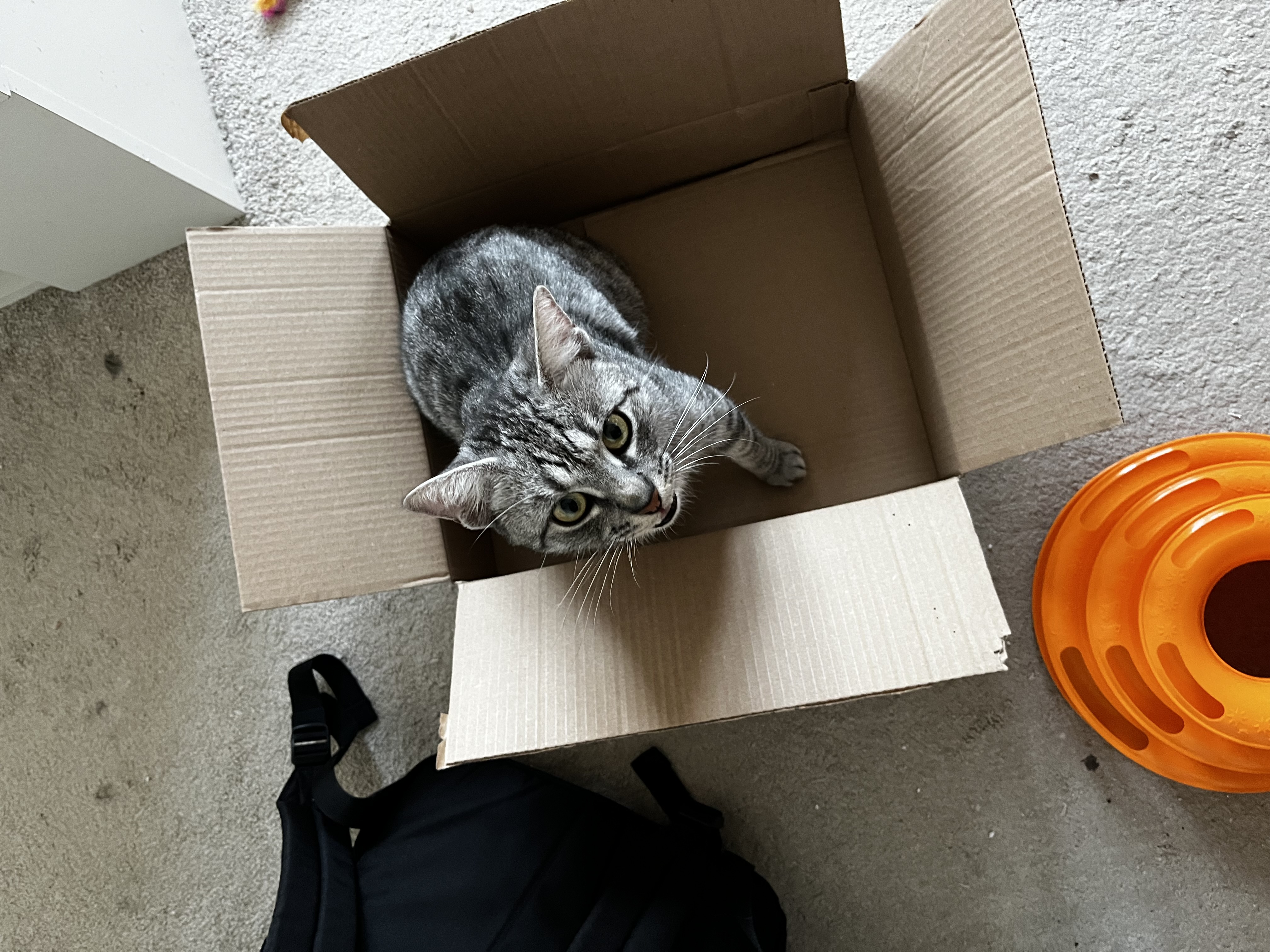 Dobré ruce, z.s. foto 2