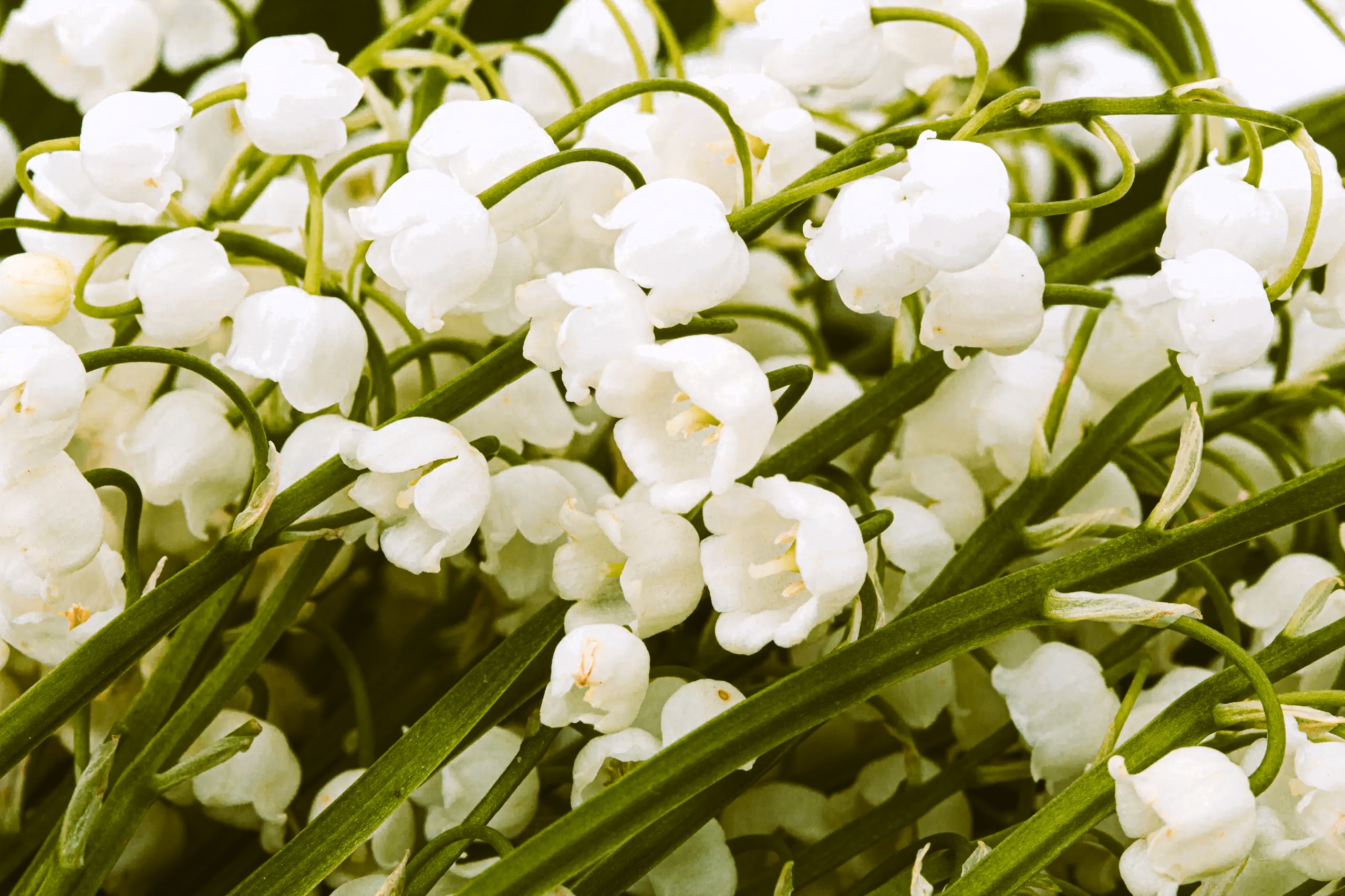 Jikast, s.r.o. foto 5