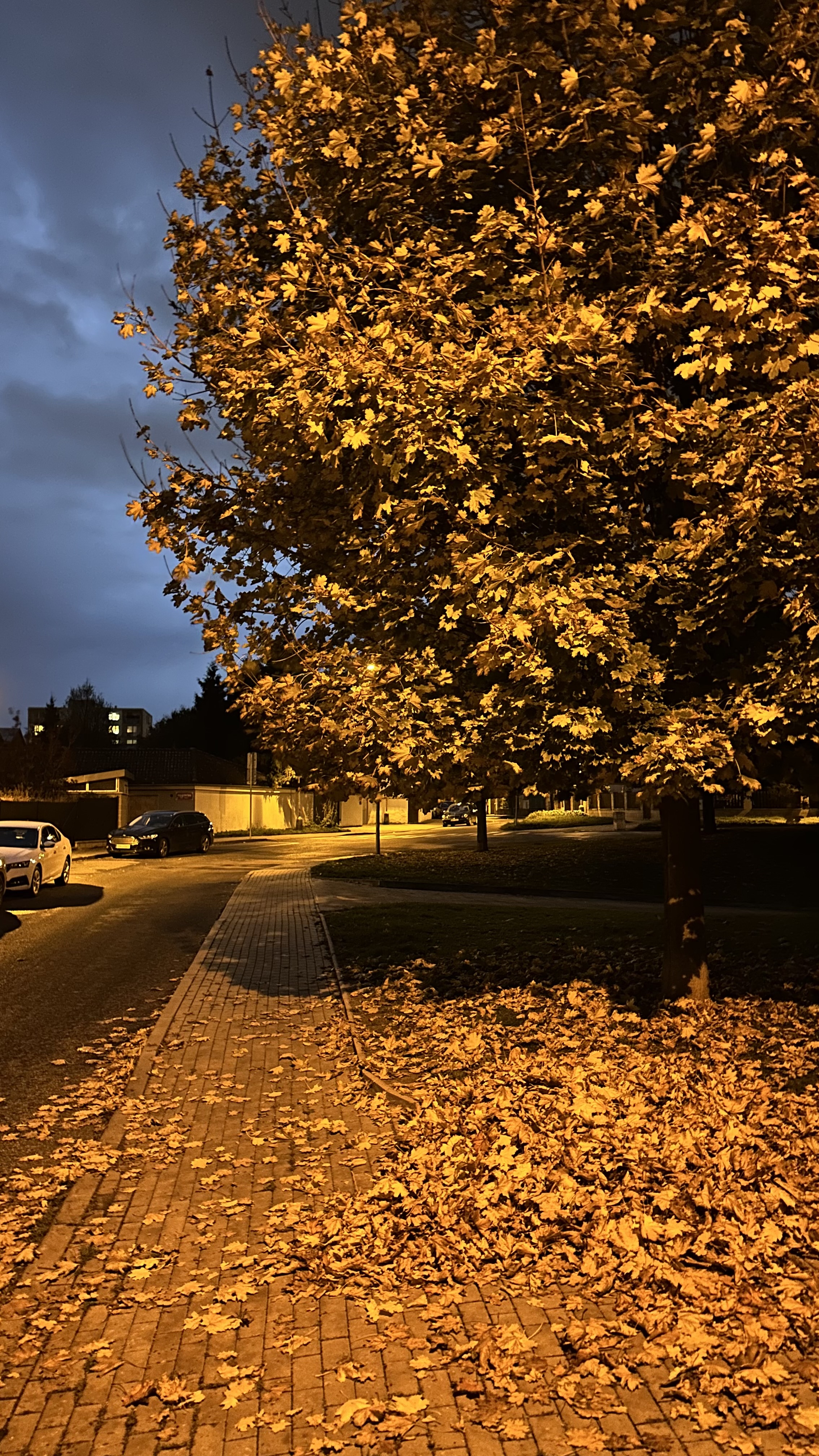 Libocký Dvůr foto 5