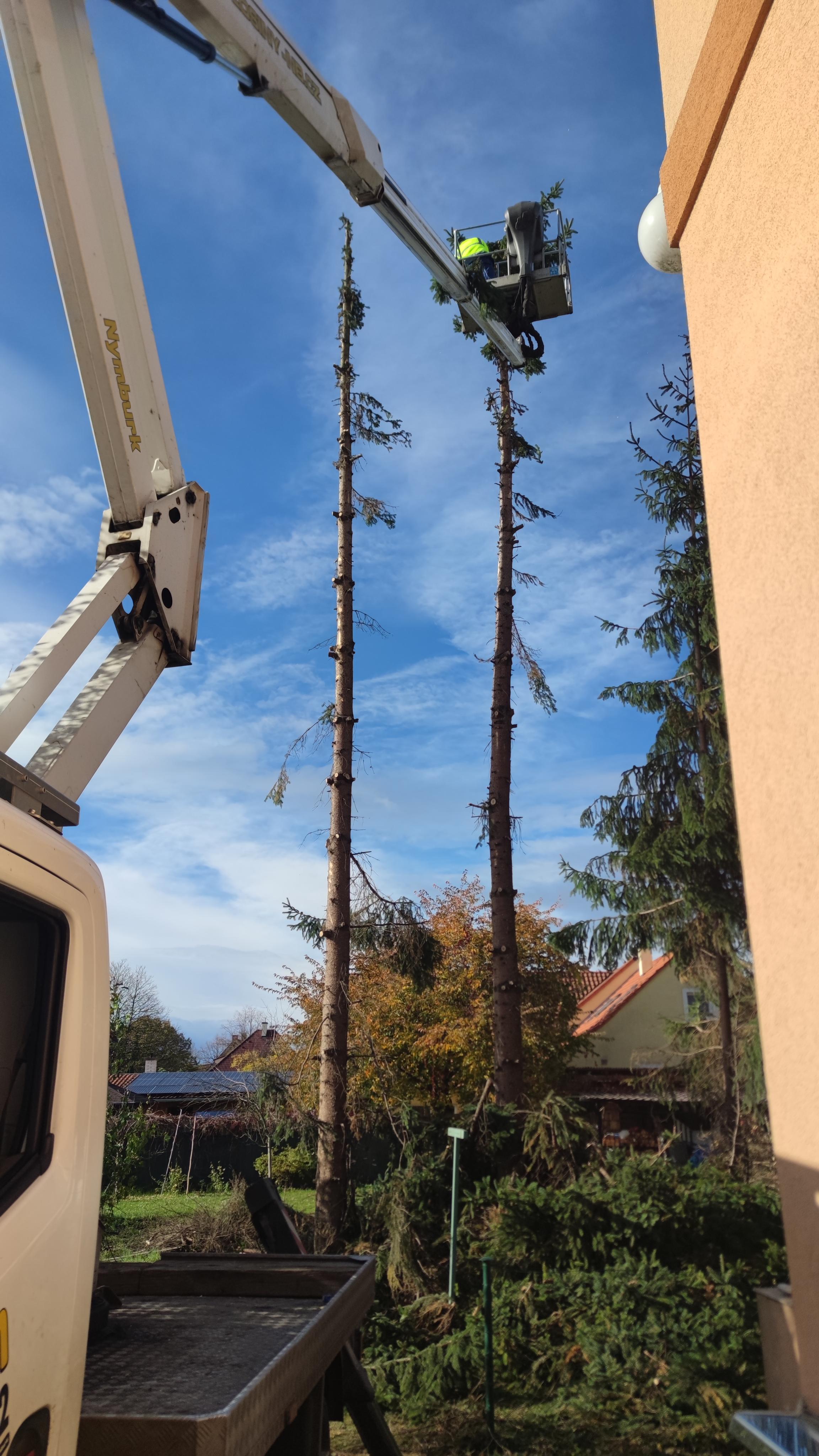 Pronájem montážních plošin Jiří Ditrich foto 5