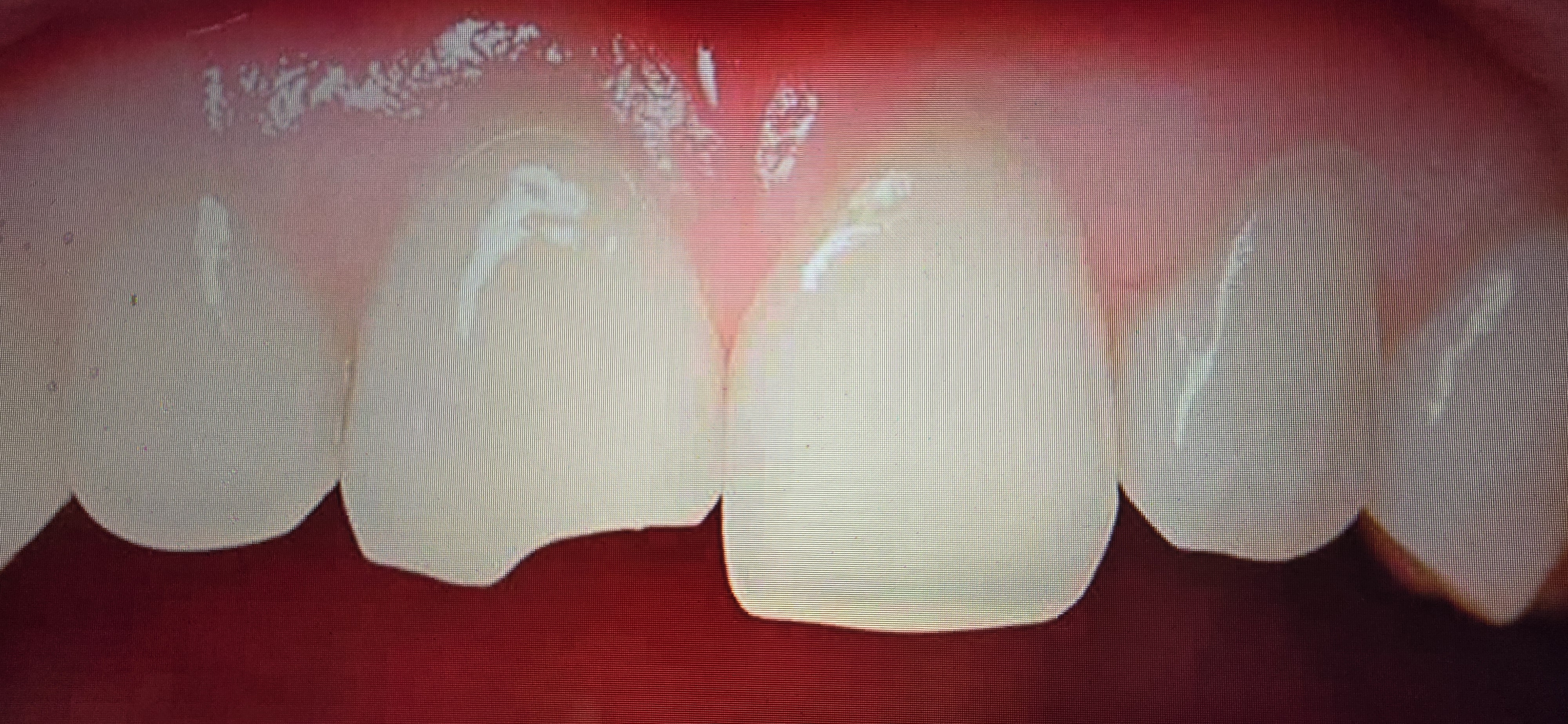 MDDr. Kateřina Fojtová foto 4