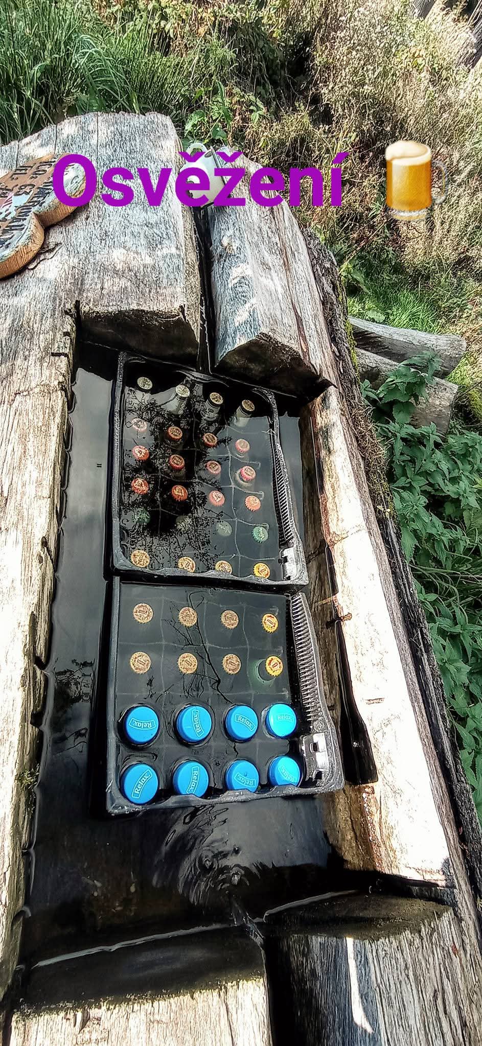 Lesní Osvěžovna foto 3
