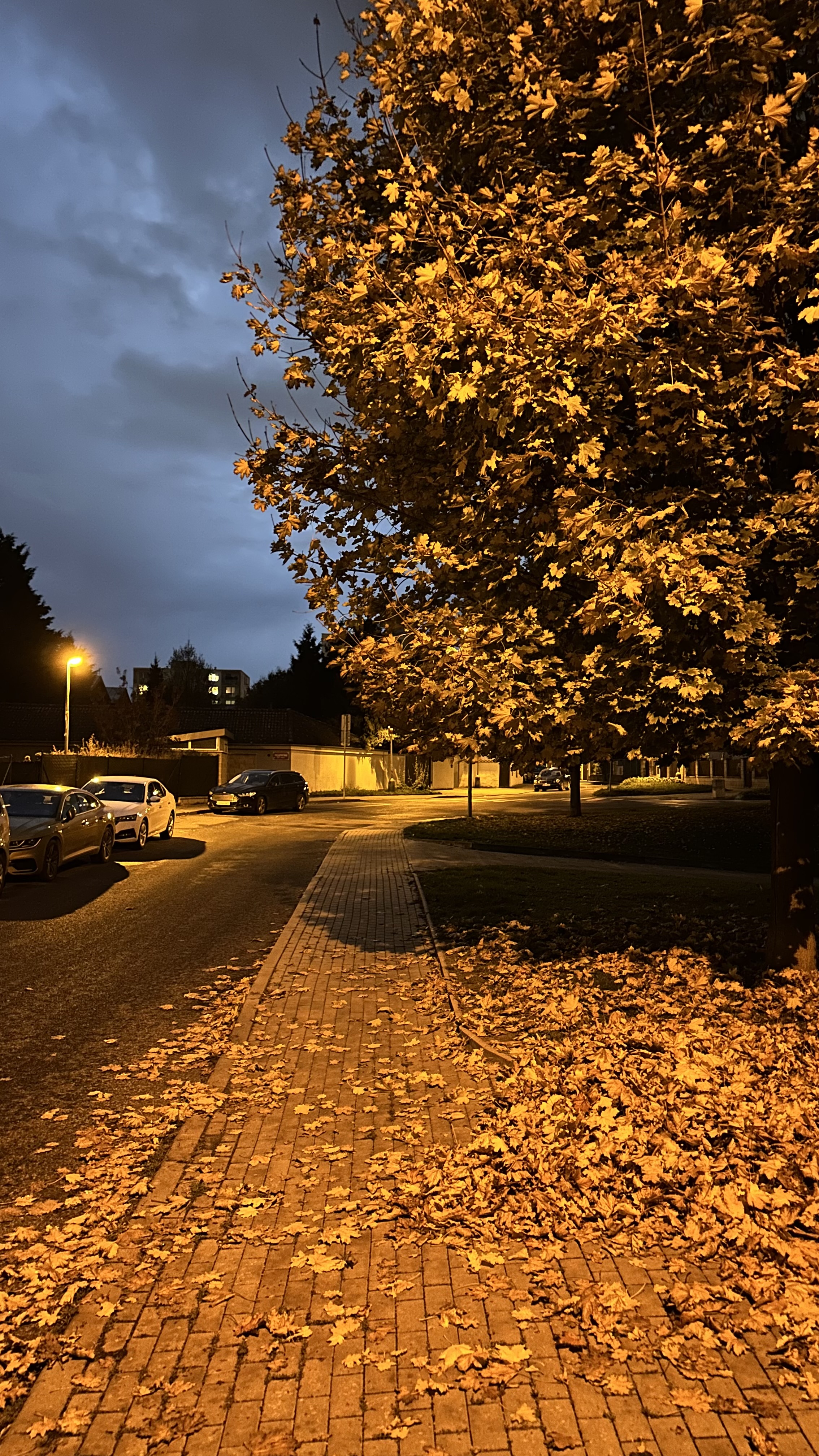 Libocký Dvůr foto 3