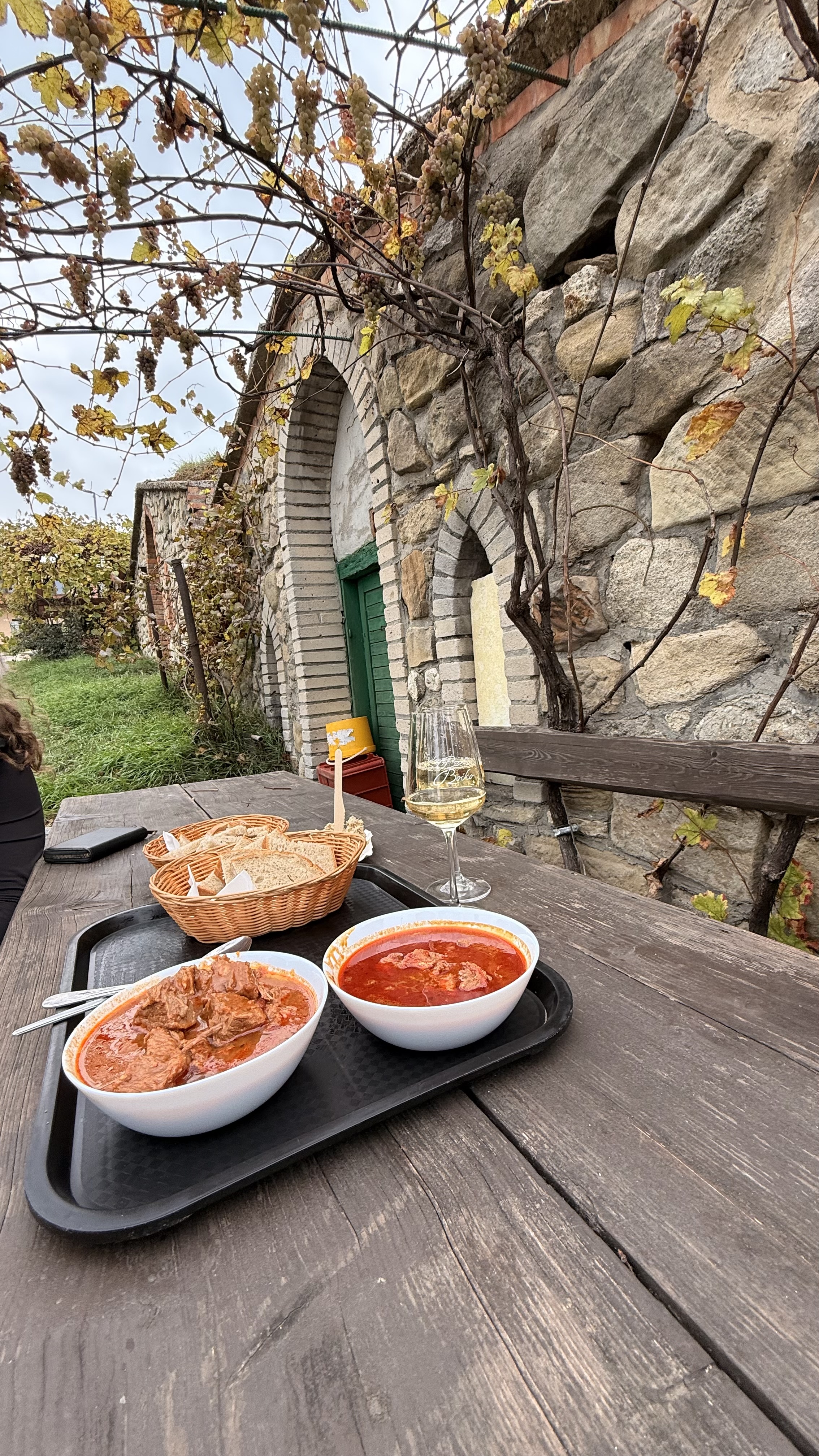 Vinařství Bočko - vinný sklep foto 2