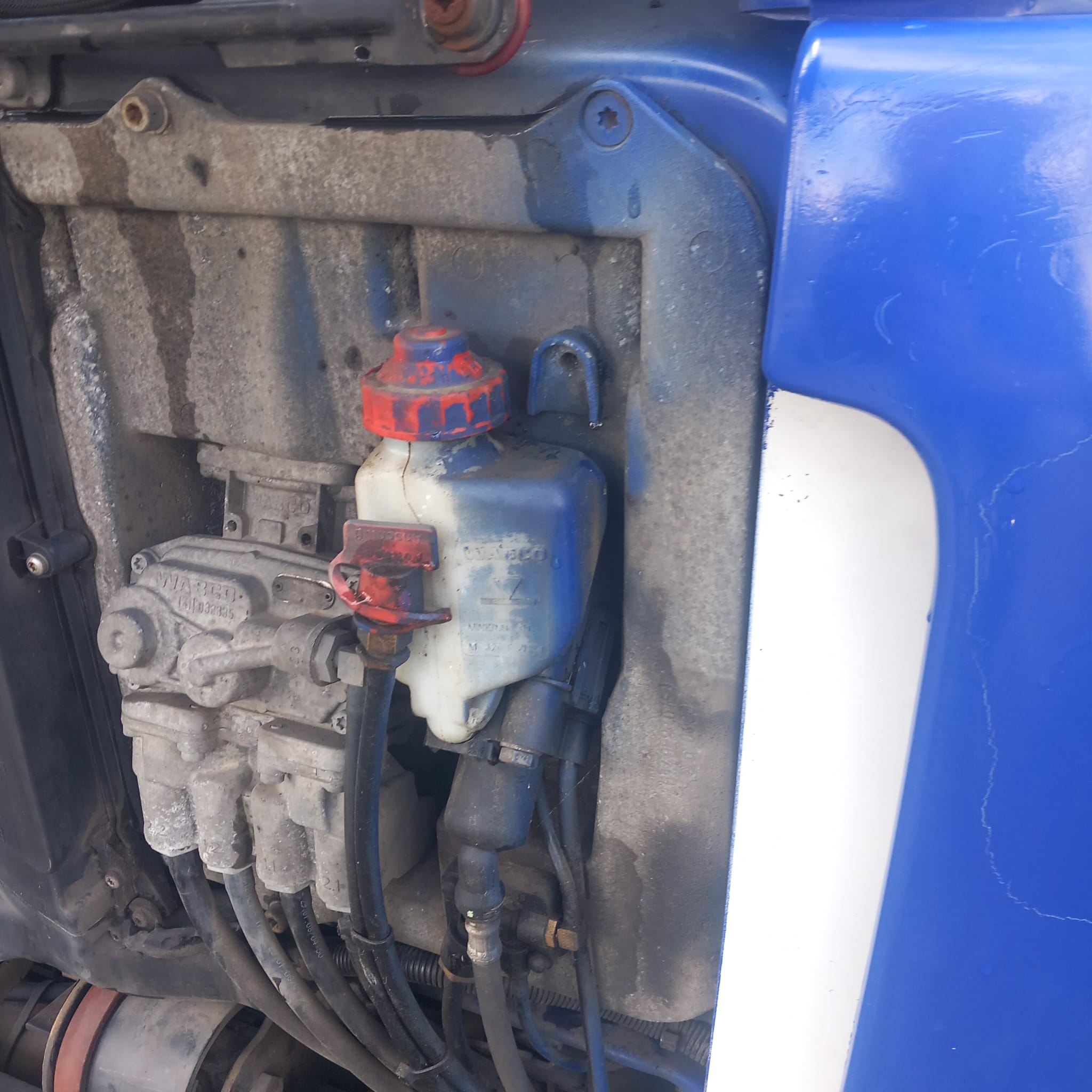 Tirbazar - Martin Oberfalcer foto 5