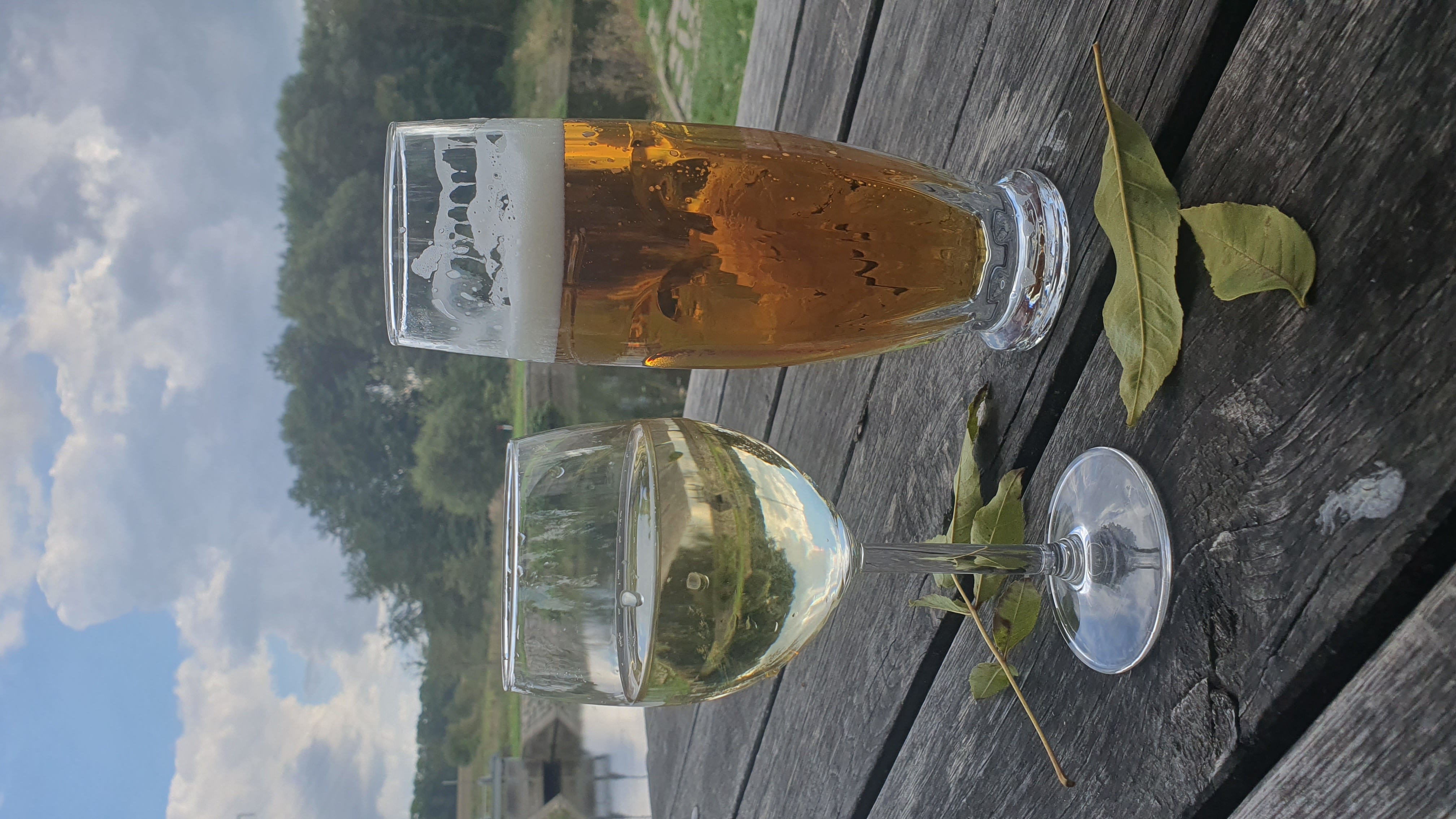 Plovárna Hradiště - restaurace foto 2