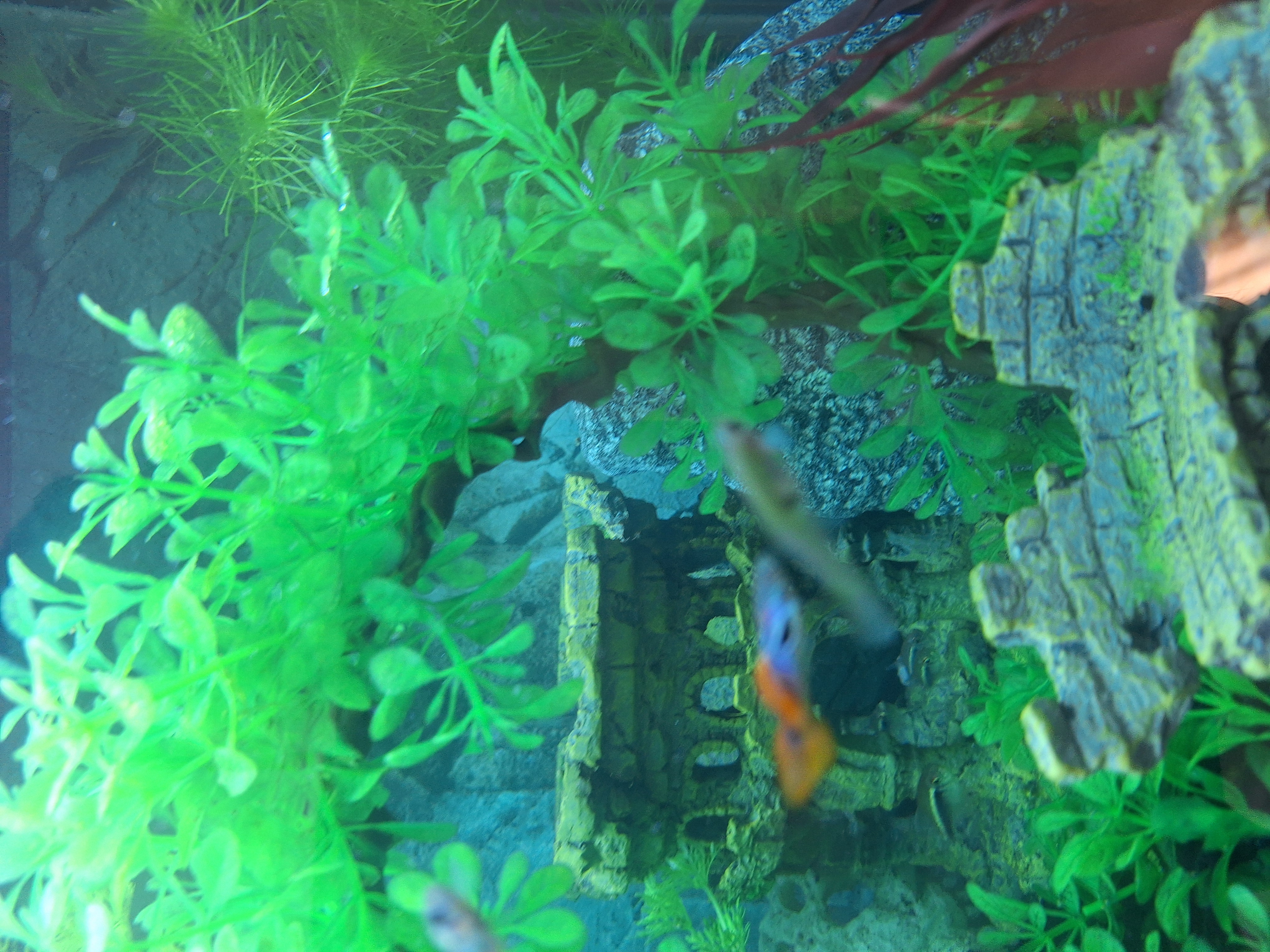 Chovatelské potřeby Pavlína Mališová foto 6