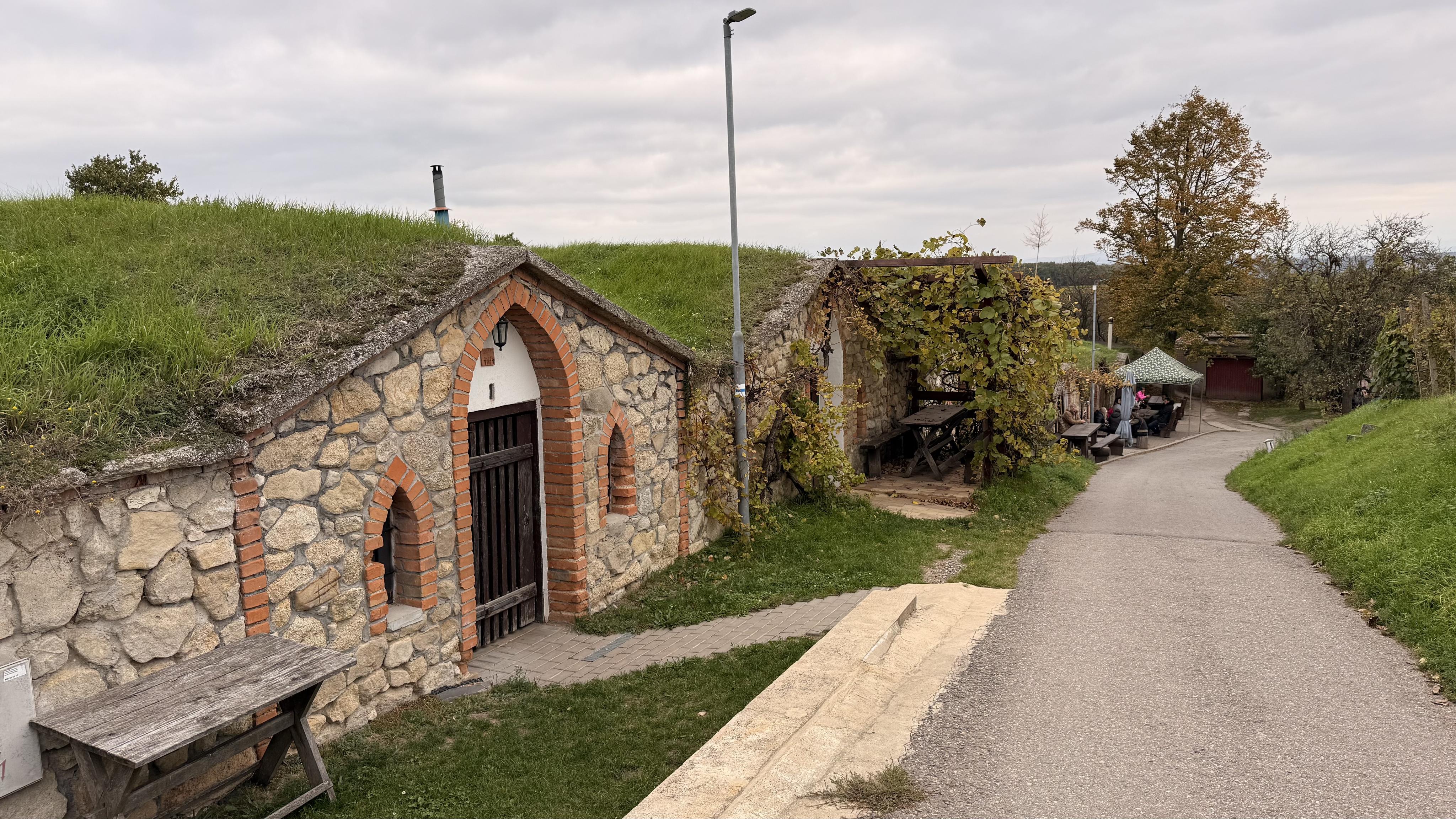 Vinařství Bočko - vinný sklep foto 3