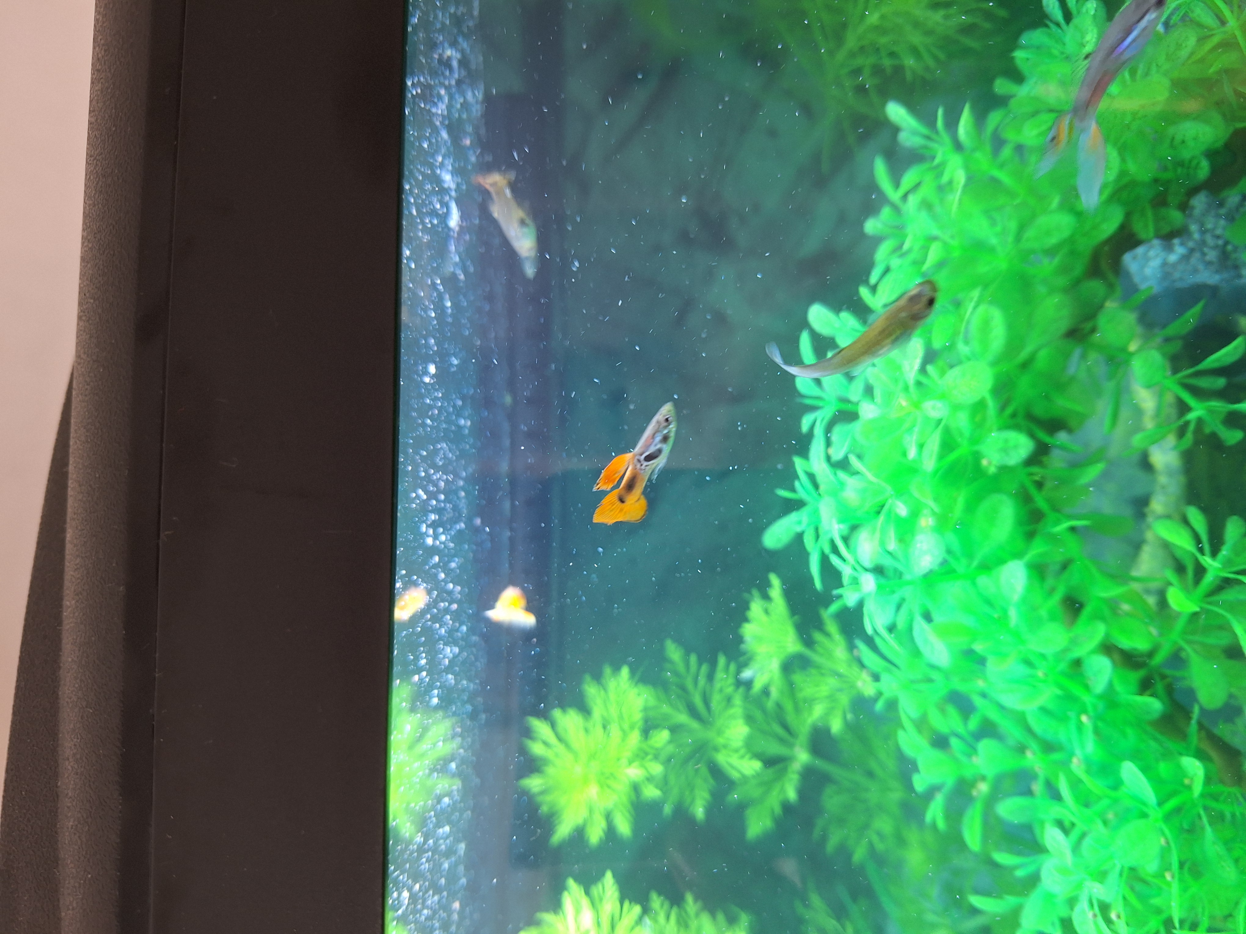 Chovatelské potřeby Pavlína Mališová foto 5