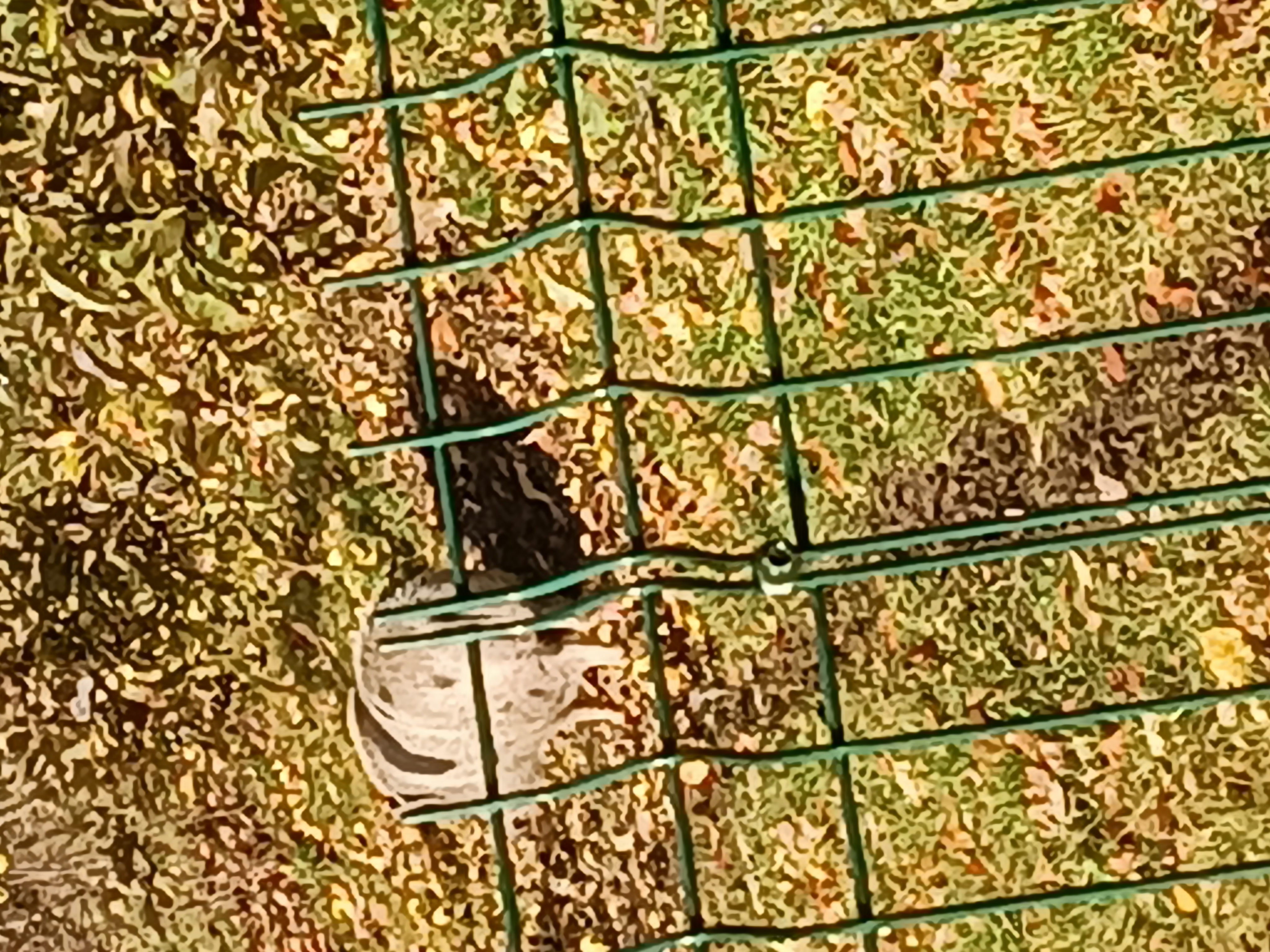 Relaxmobilhouse foto 2