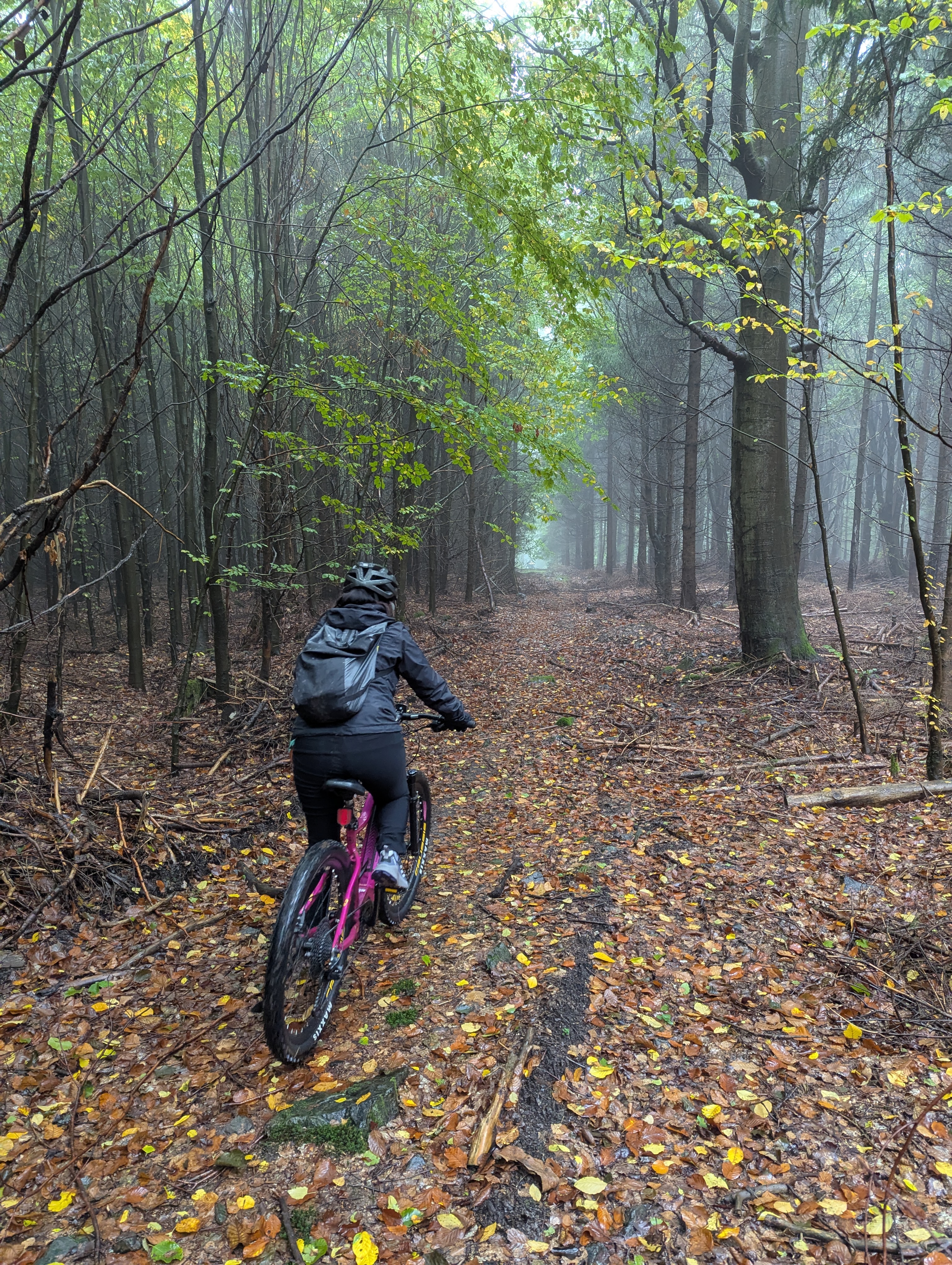 Ebikerent foto 6