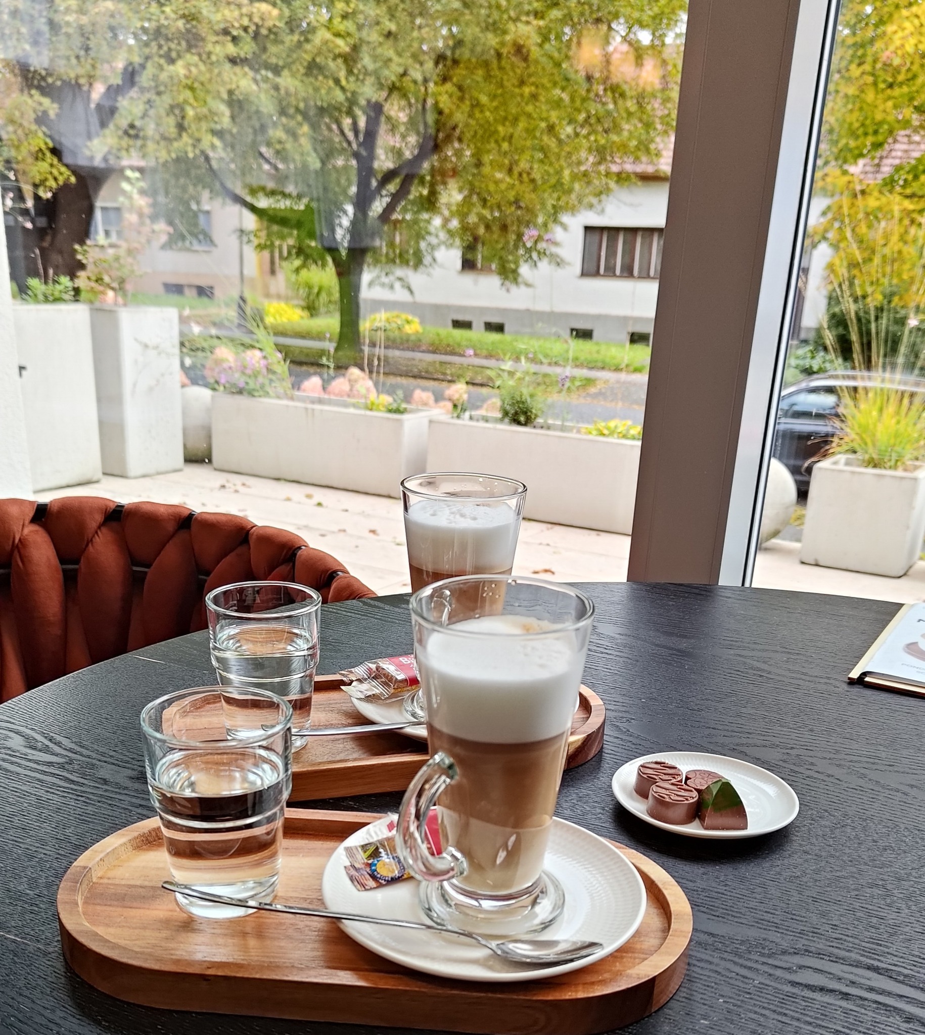 Magnolie - zdravá výživa foto 2