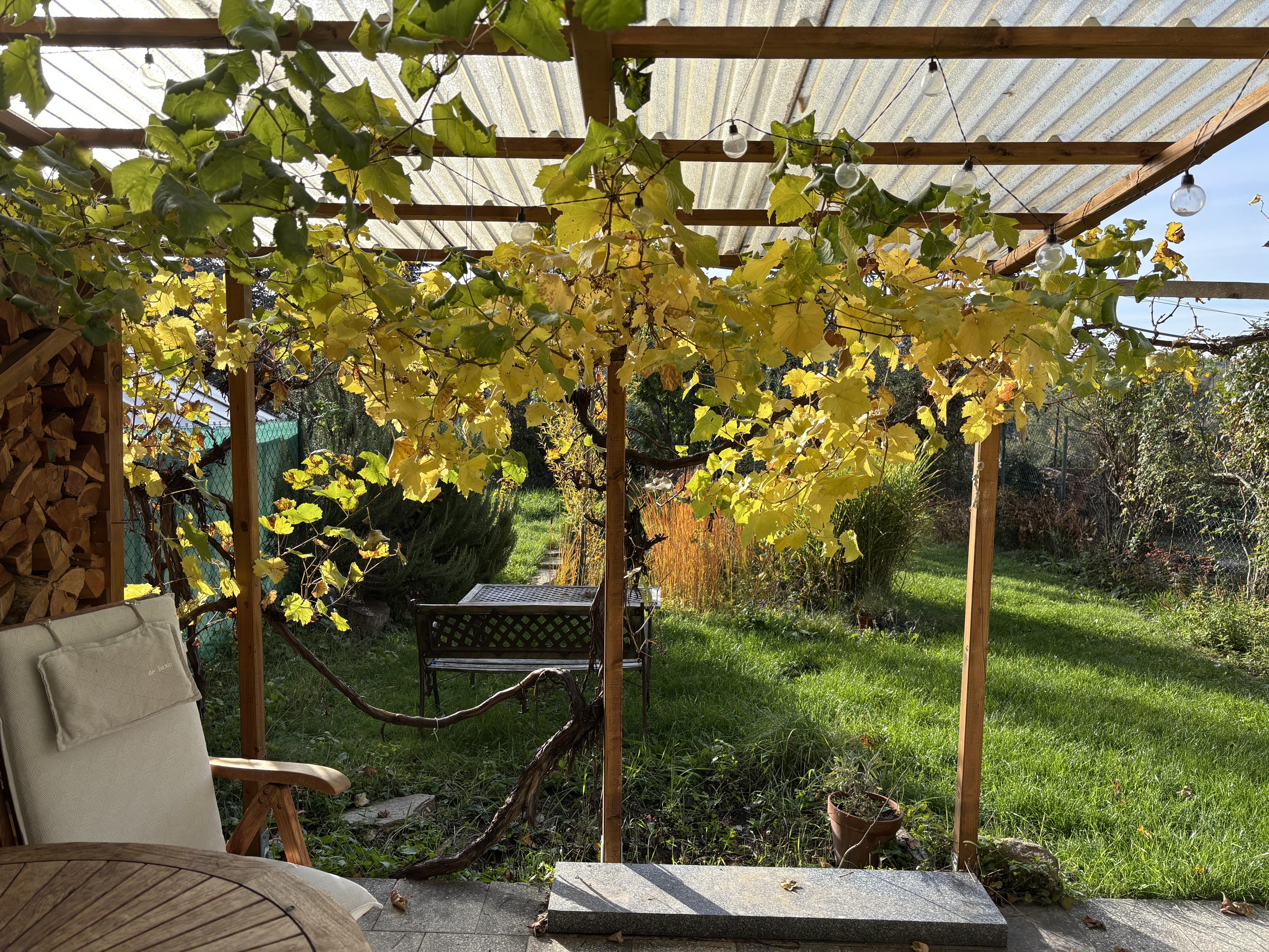 Ubytování Vinohrady 73 foto 2