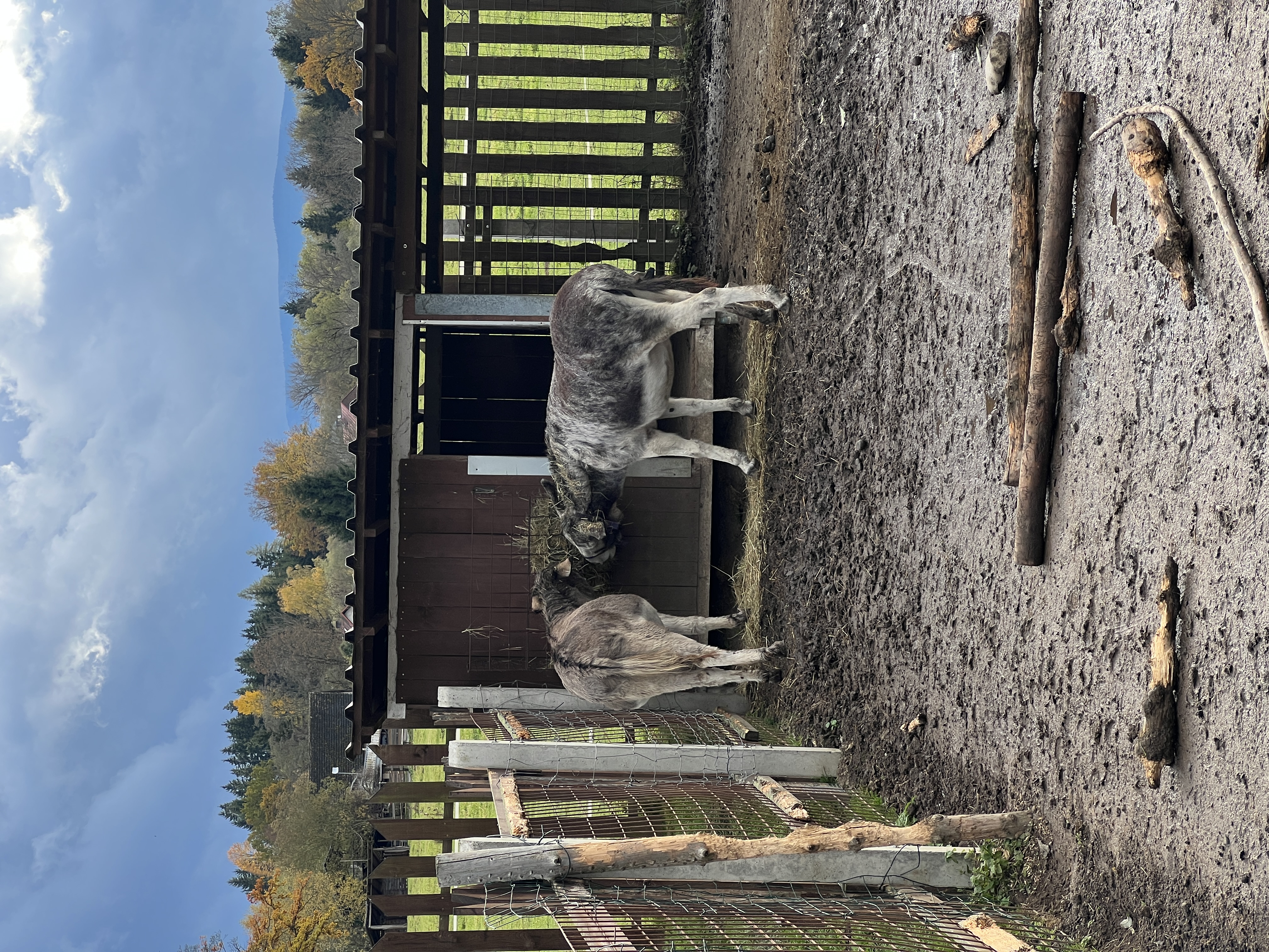 Pastvina: Jedlý park a Minizoo foto 6