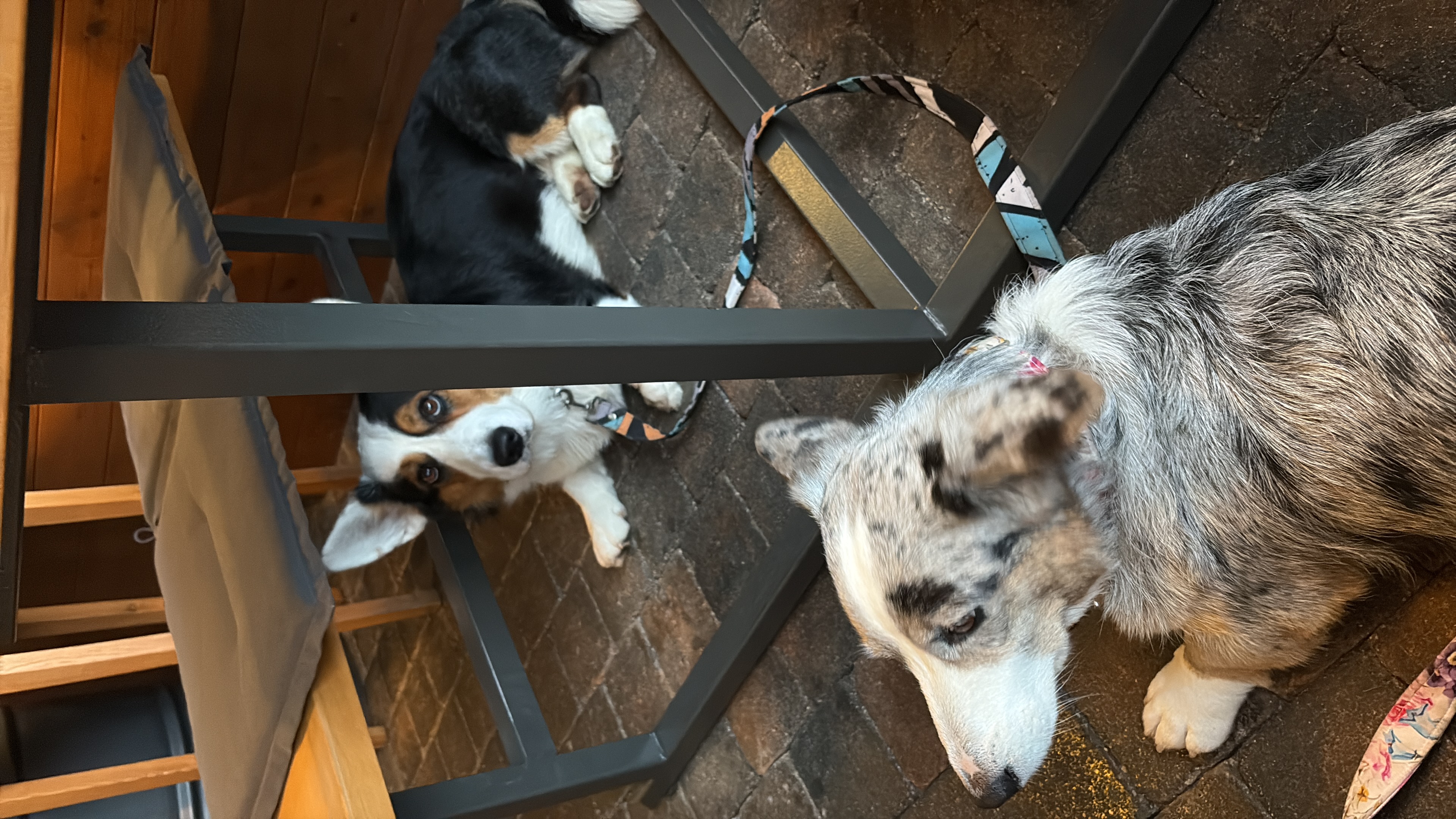 Restaurace U Motlů foto 2