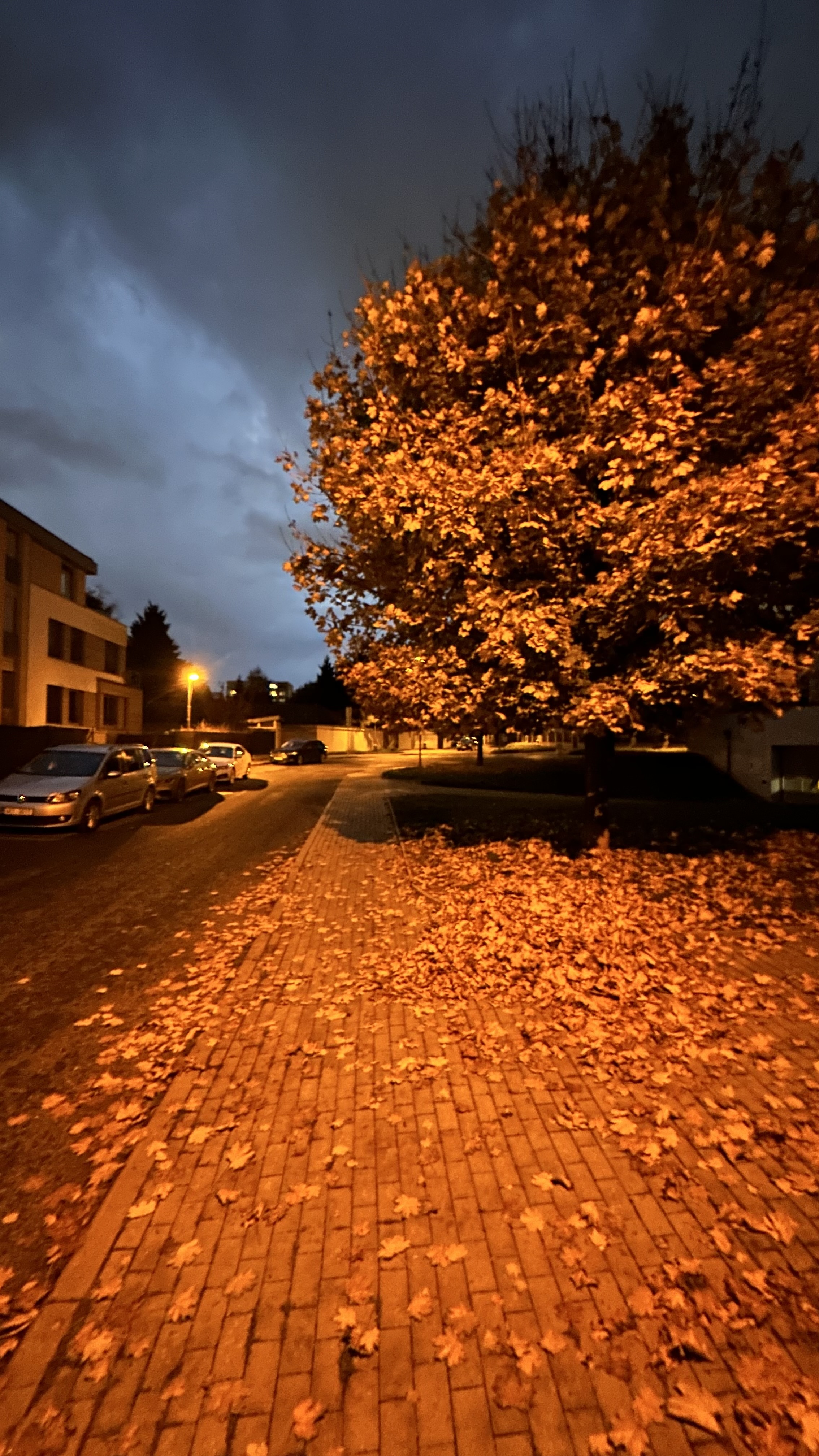 Libocký Dvůr foto 4