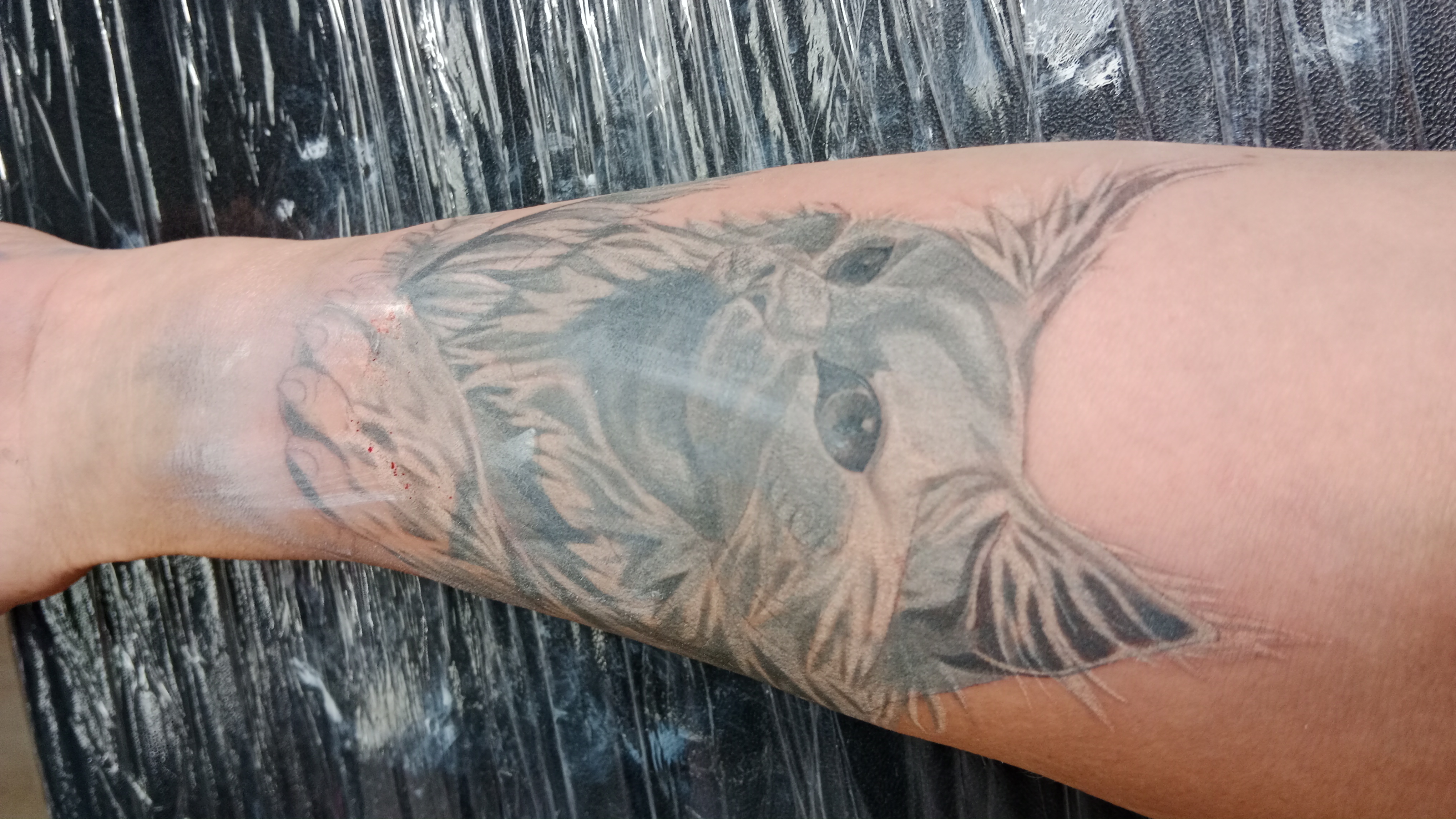 VEAN Tattoo & Piercing foto 6