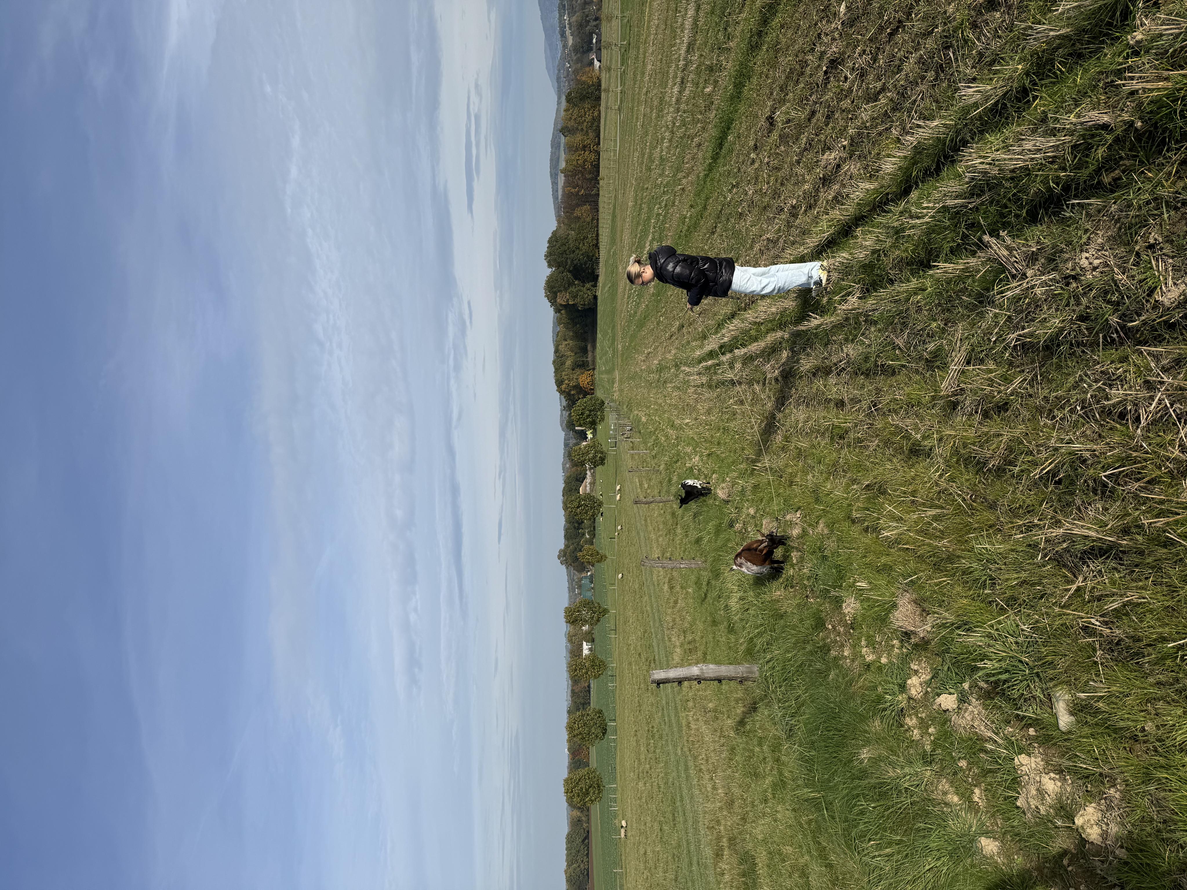 Medový dvůr foto 4