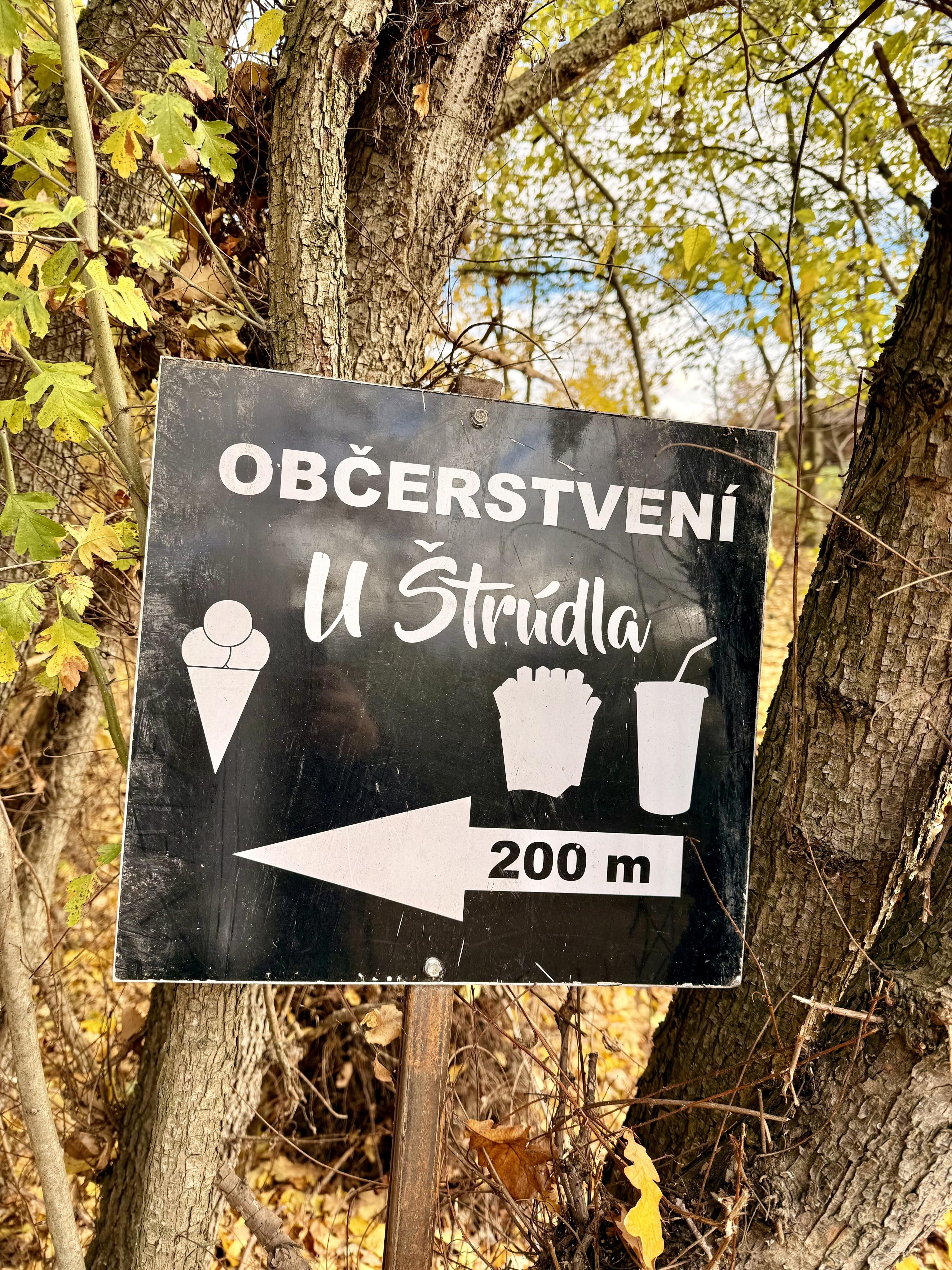Občerstvení u Štrúdla - kiosek Svět foto 5
