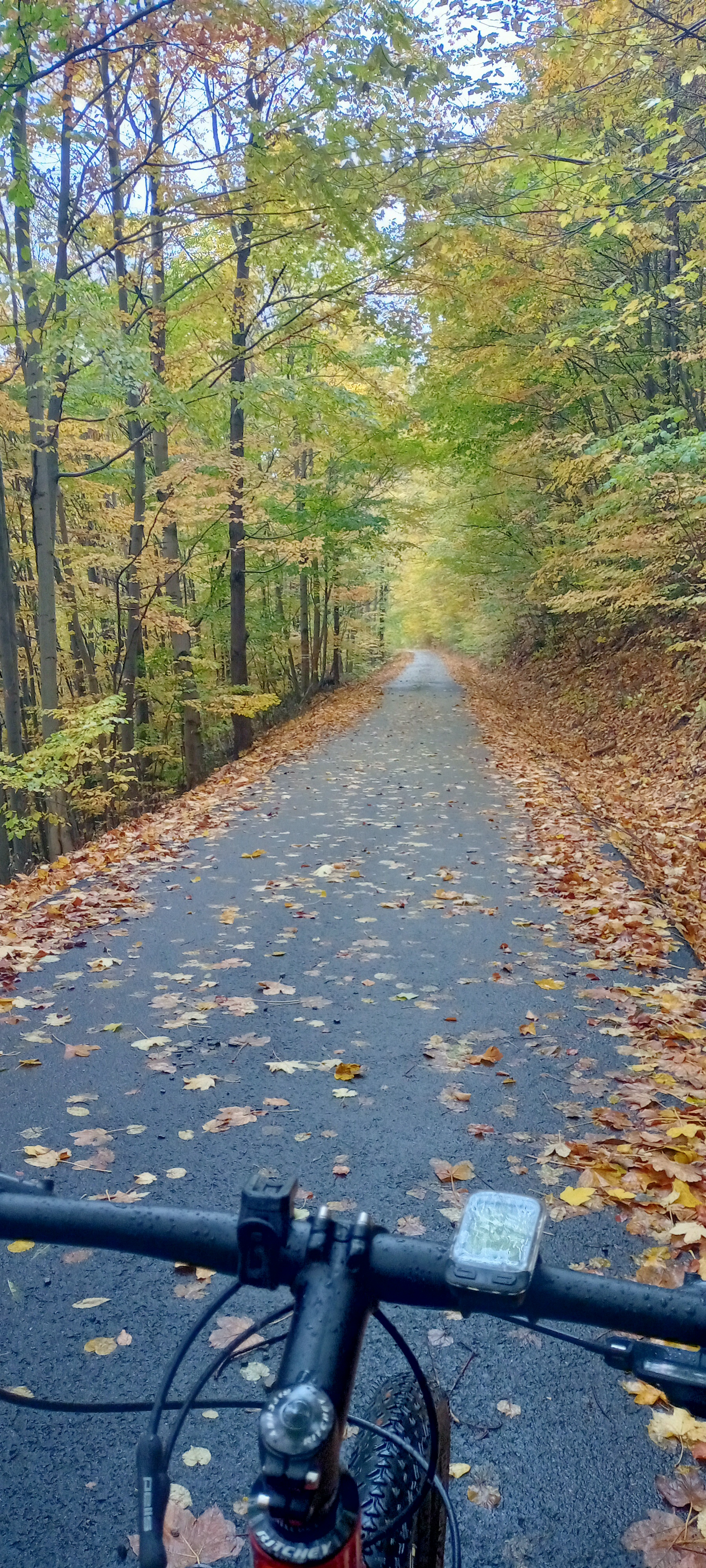 Apartmány Dalov foto 3