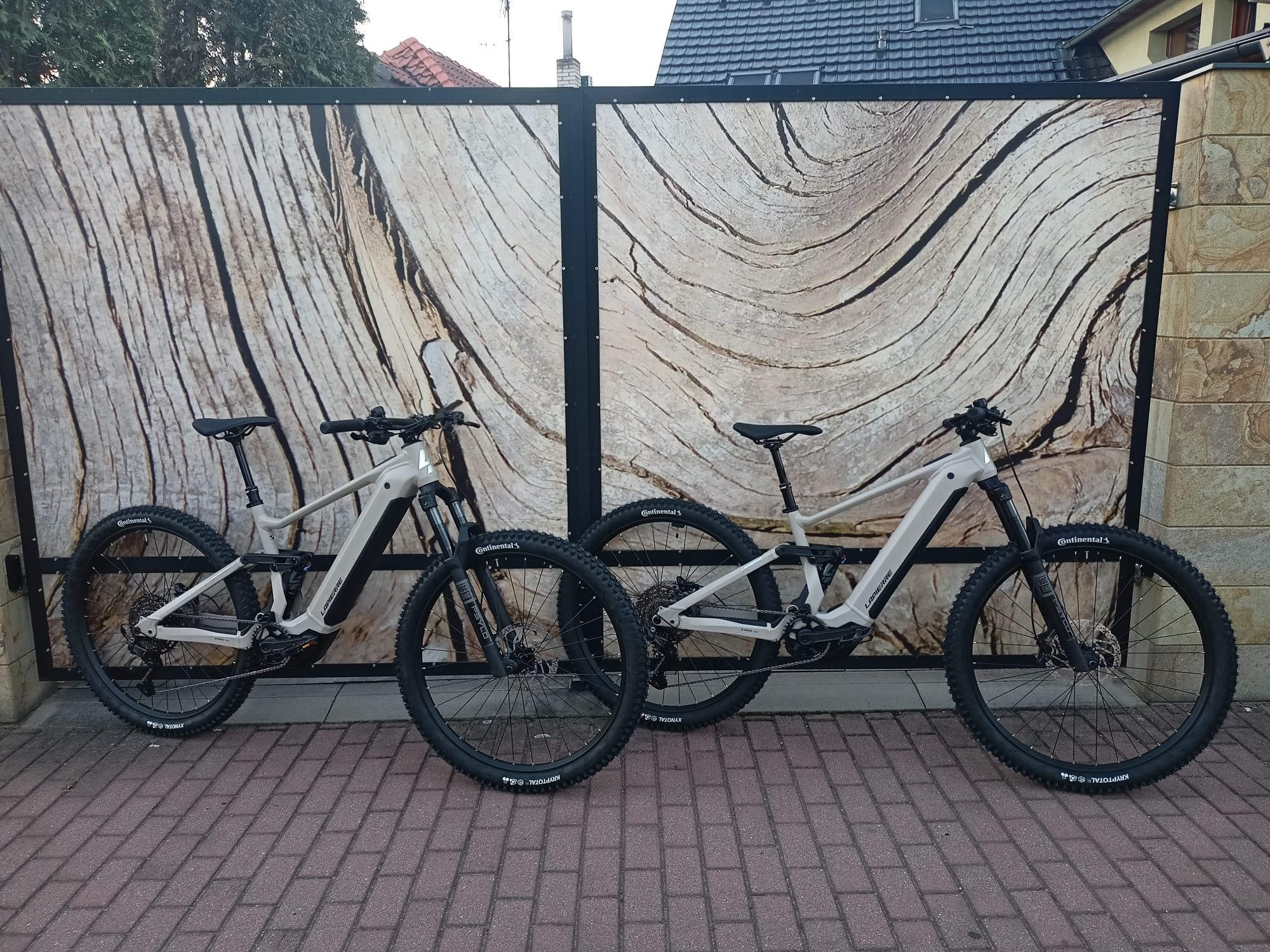 Jiří Brič - Hyrasus foto 4