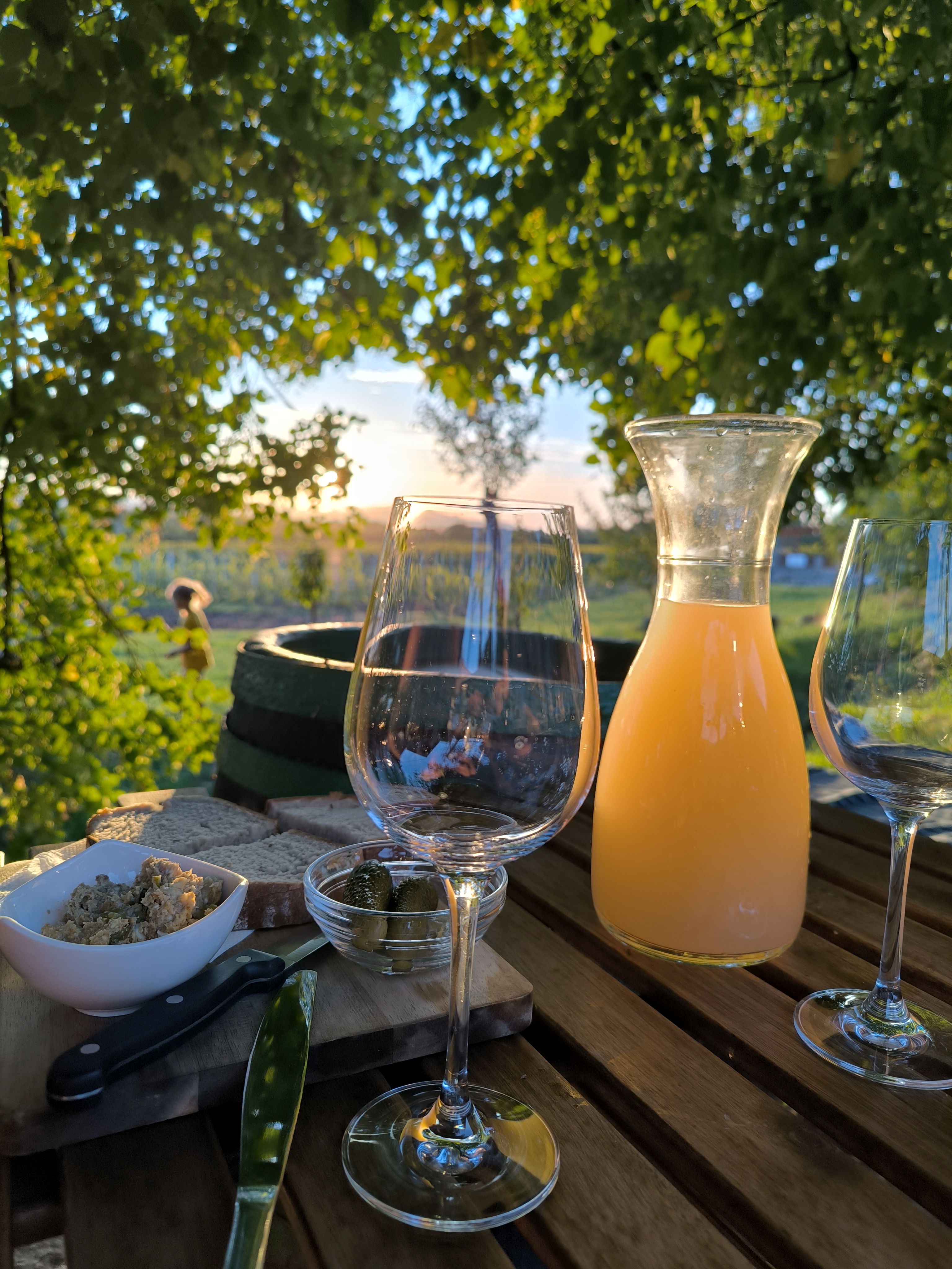 Apartmán Na vinařské stezce foto 2