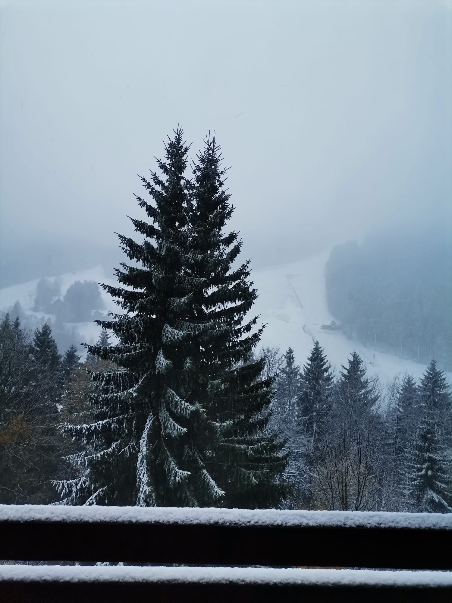PARKHOTEL HARRACHOV foto 6