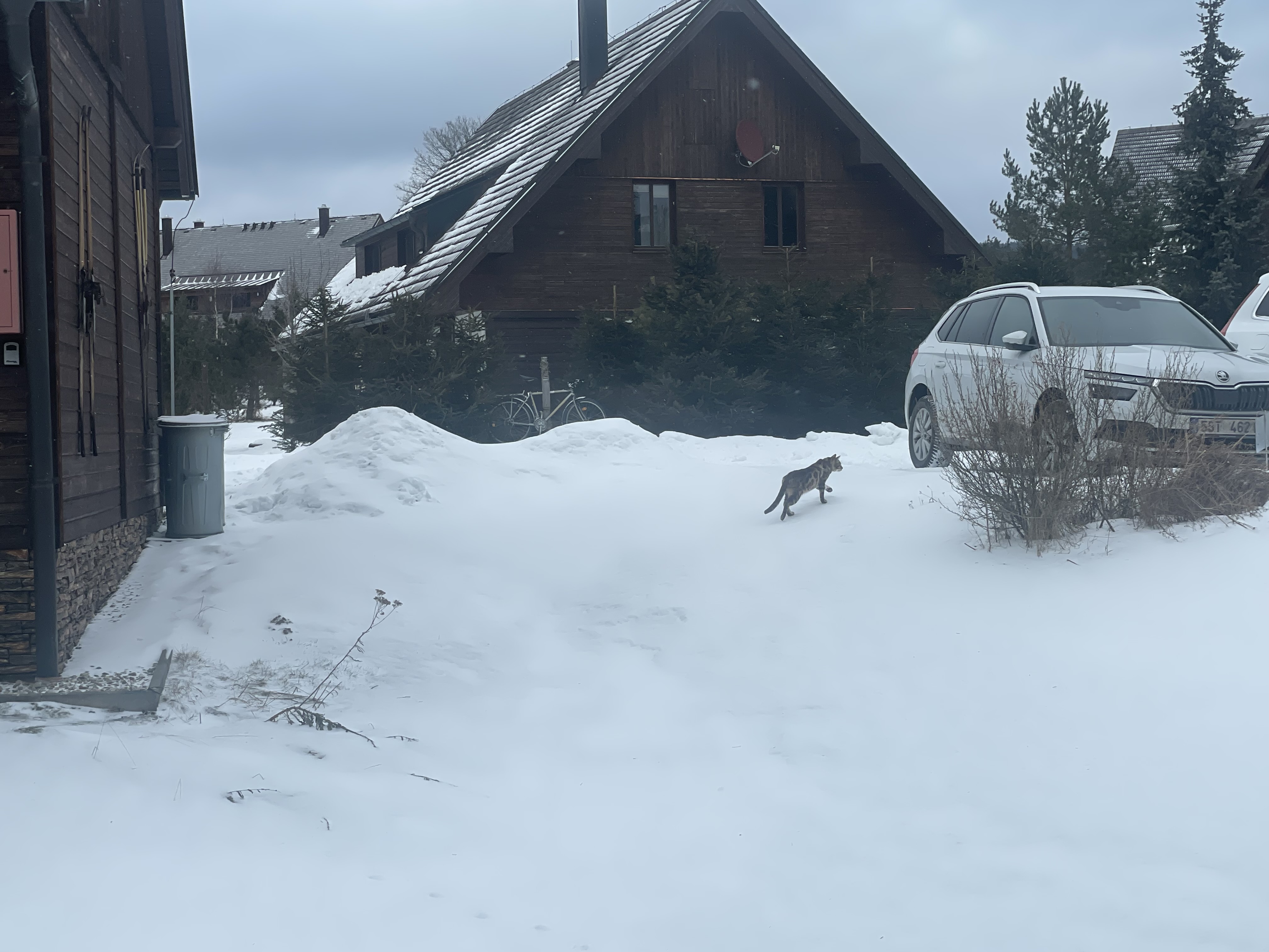 Hofman Apartmány Šumava foto 2