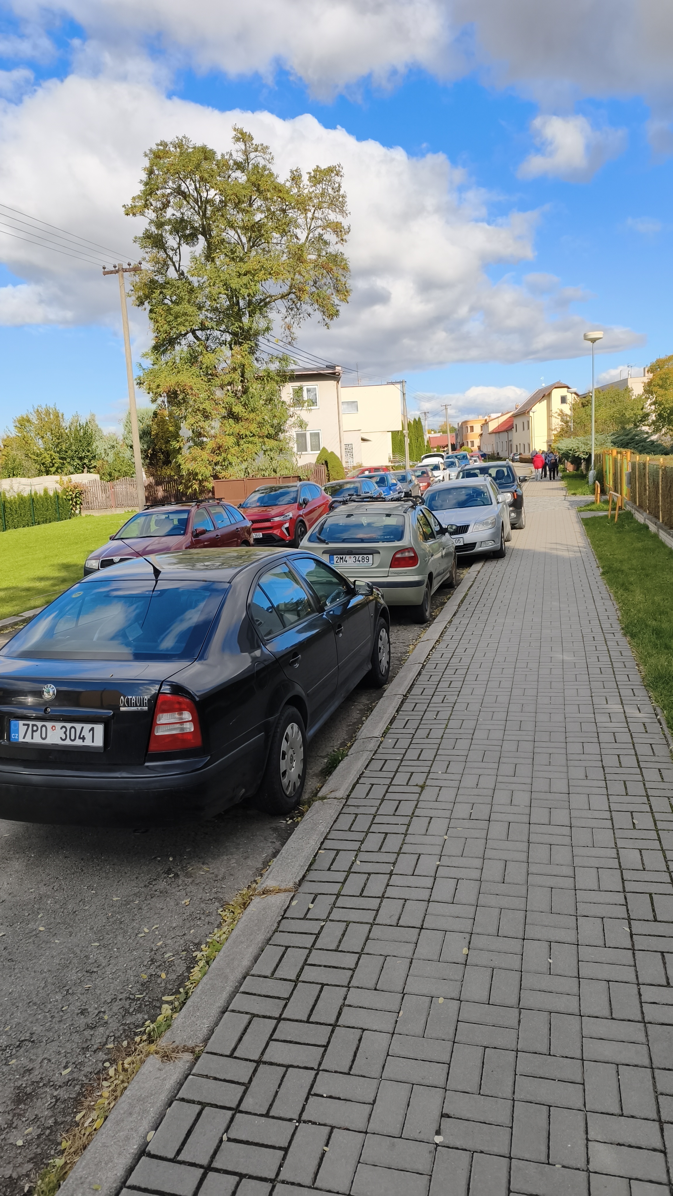 Rybářství Tovačov foto 2