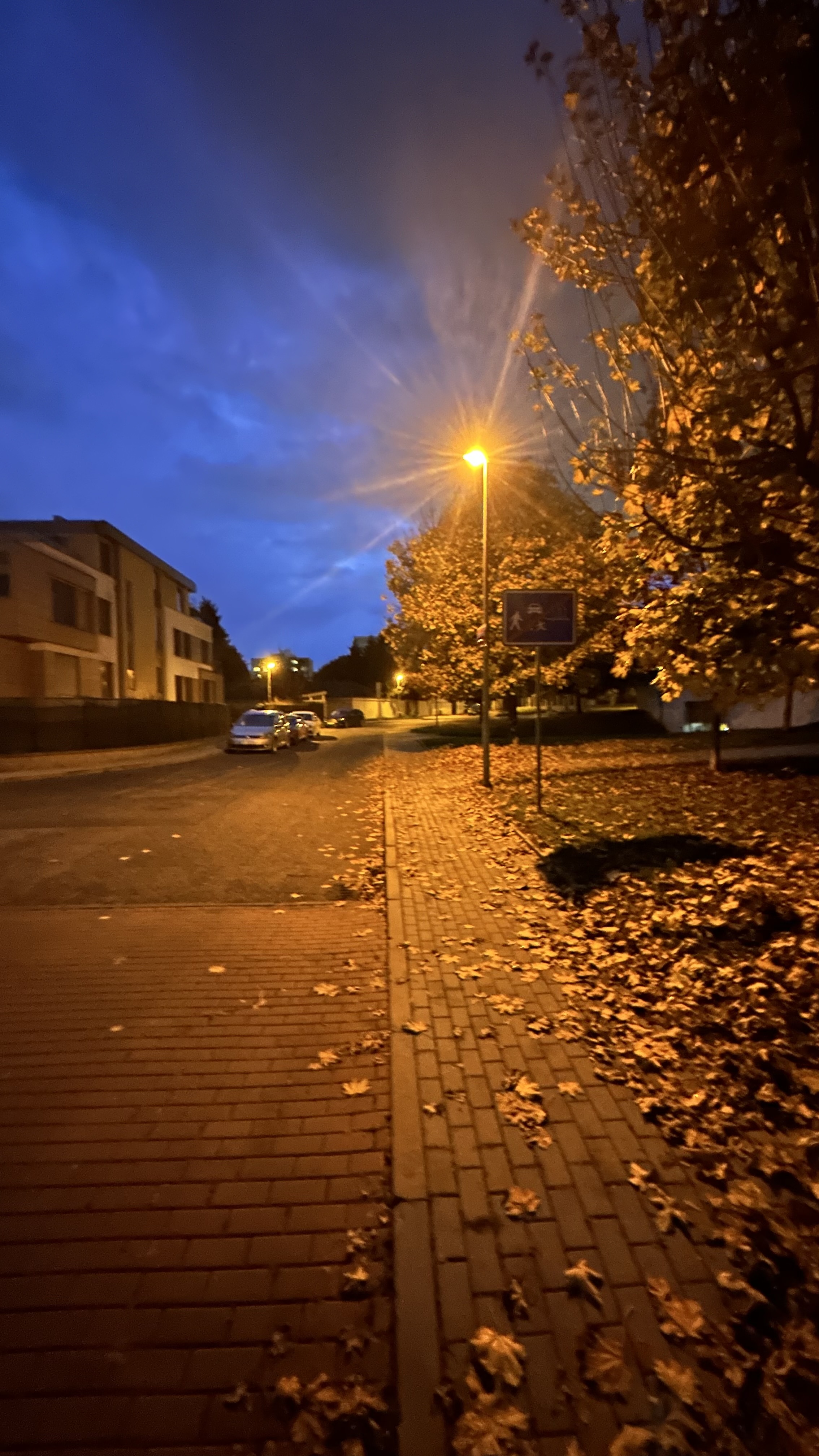 Libocký Dvůr foto 3