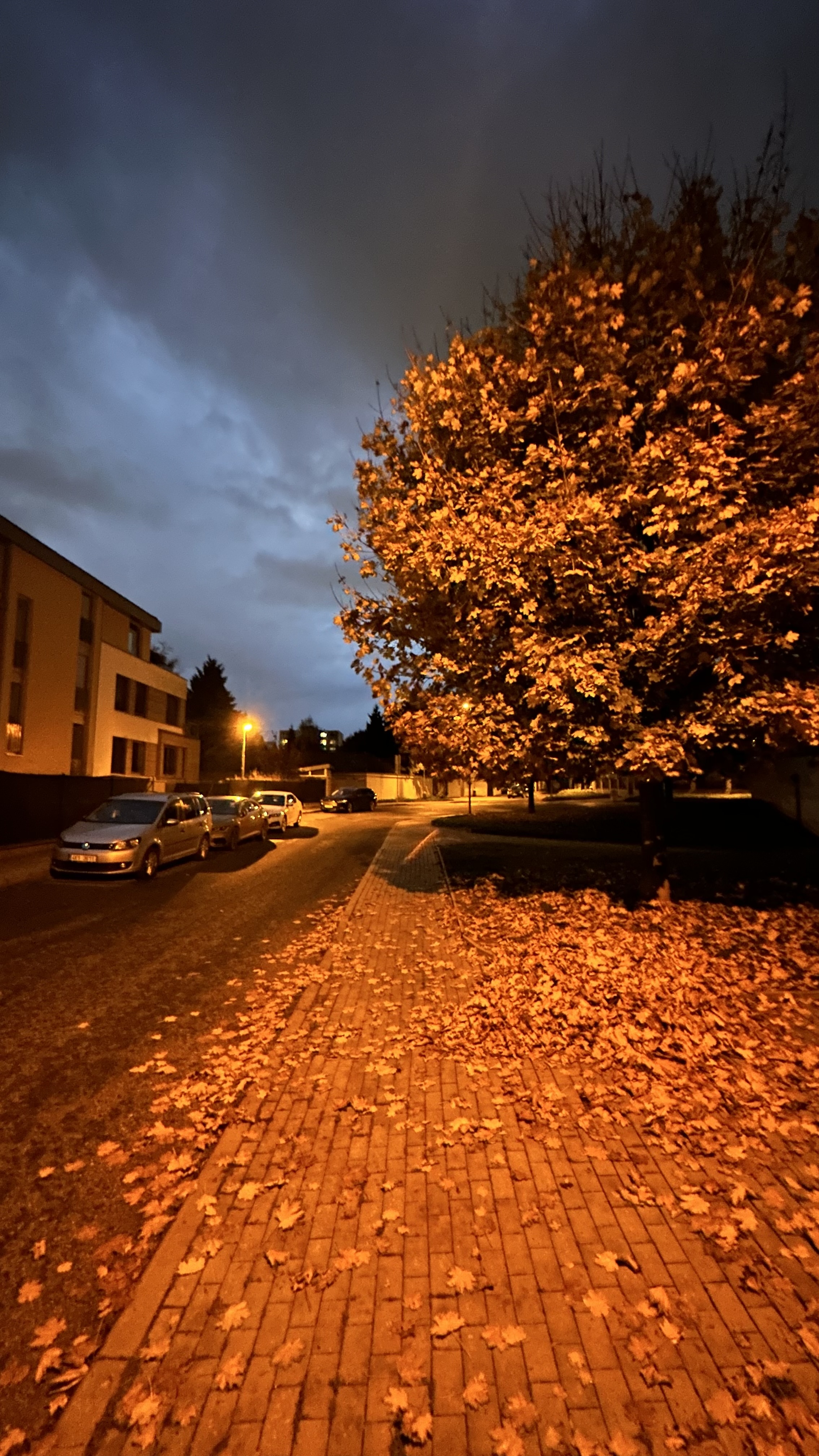 Libocký Dvůr foto 2
