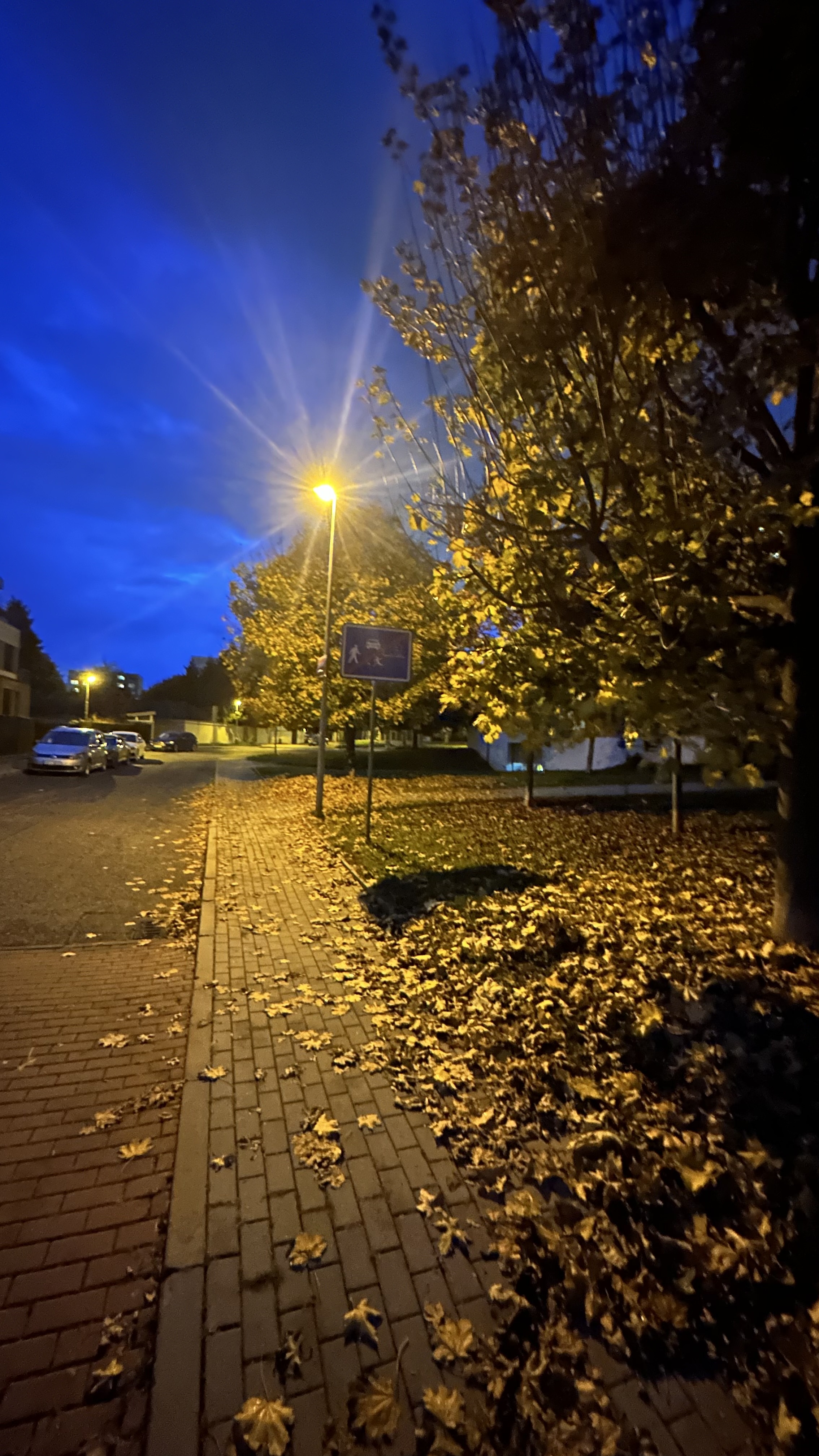 Libocký Dvůr foto 6