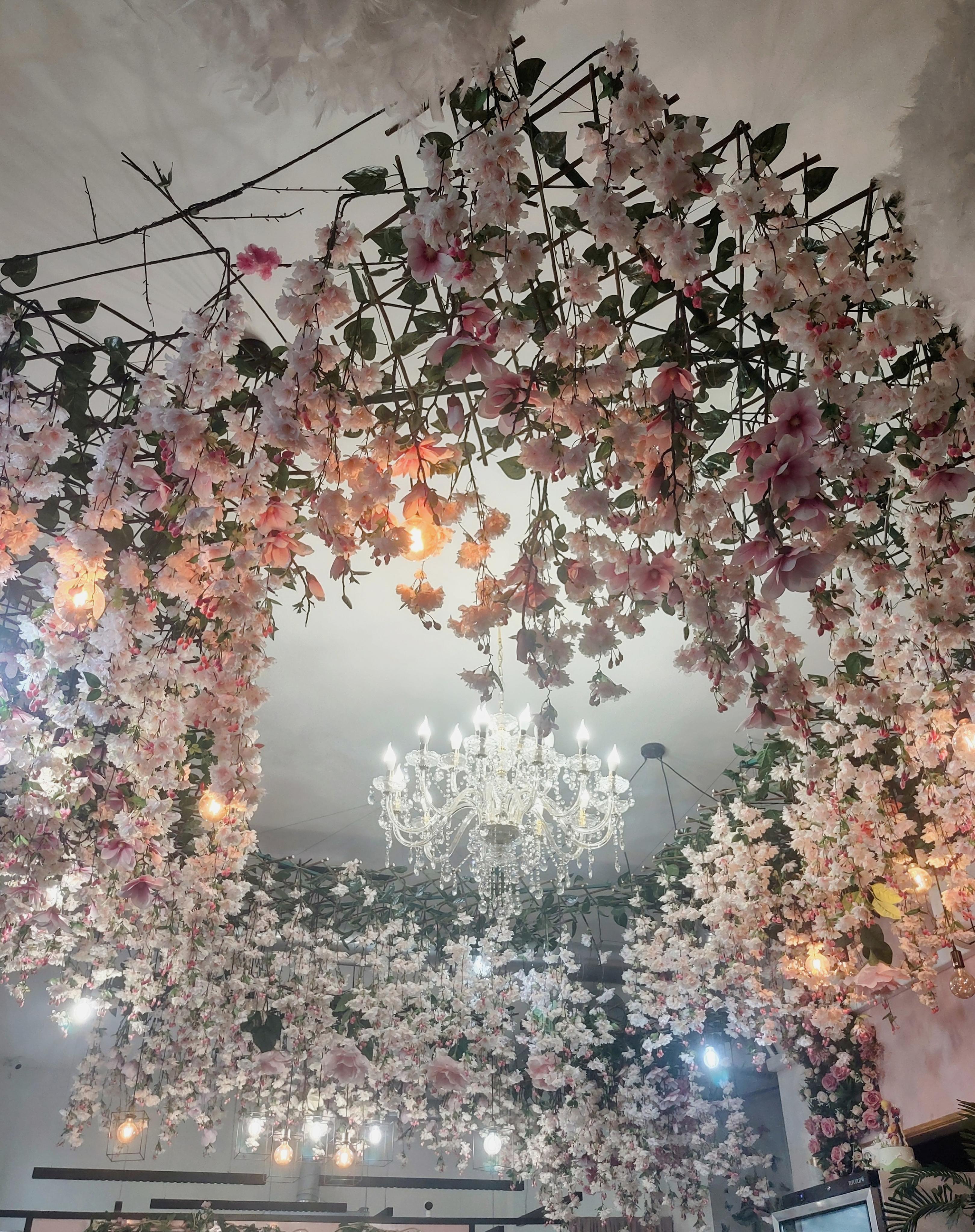 Café DORTYVŠEM foto 5