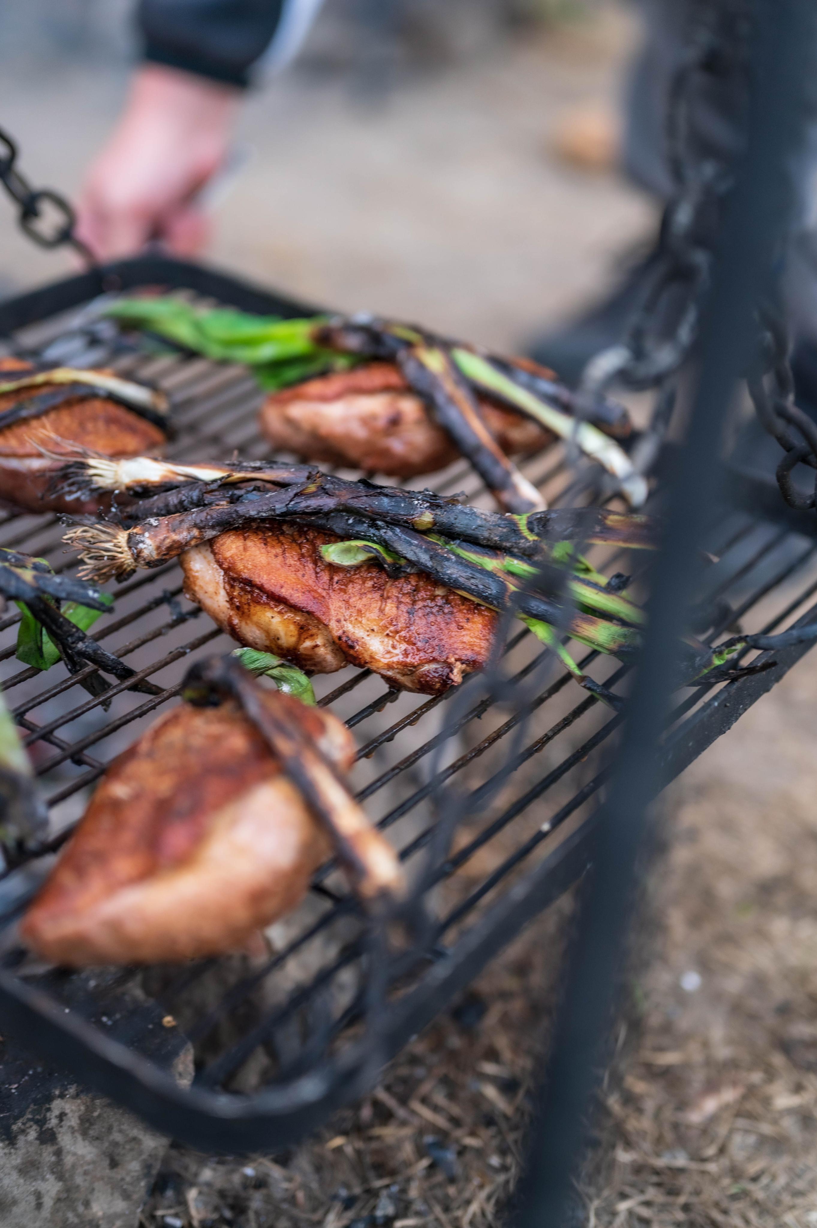 Fuego Cartel, s.r.o. foto 4