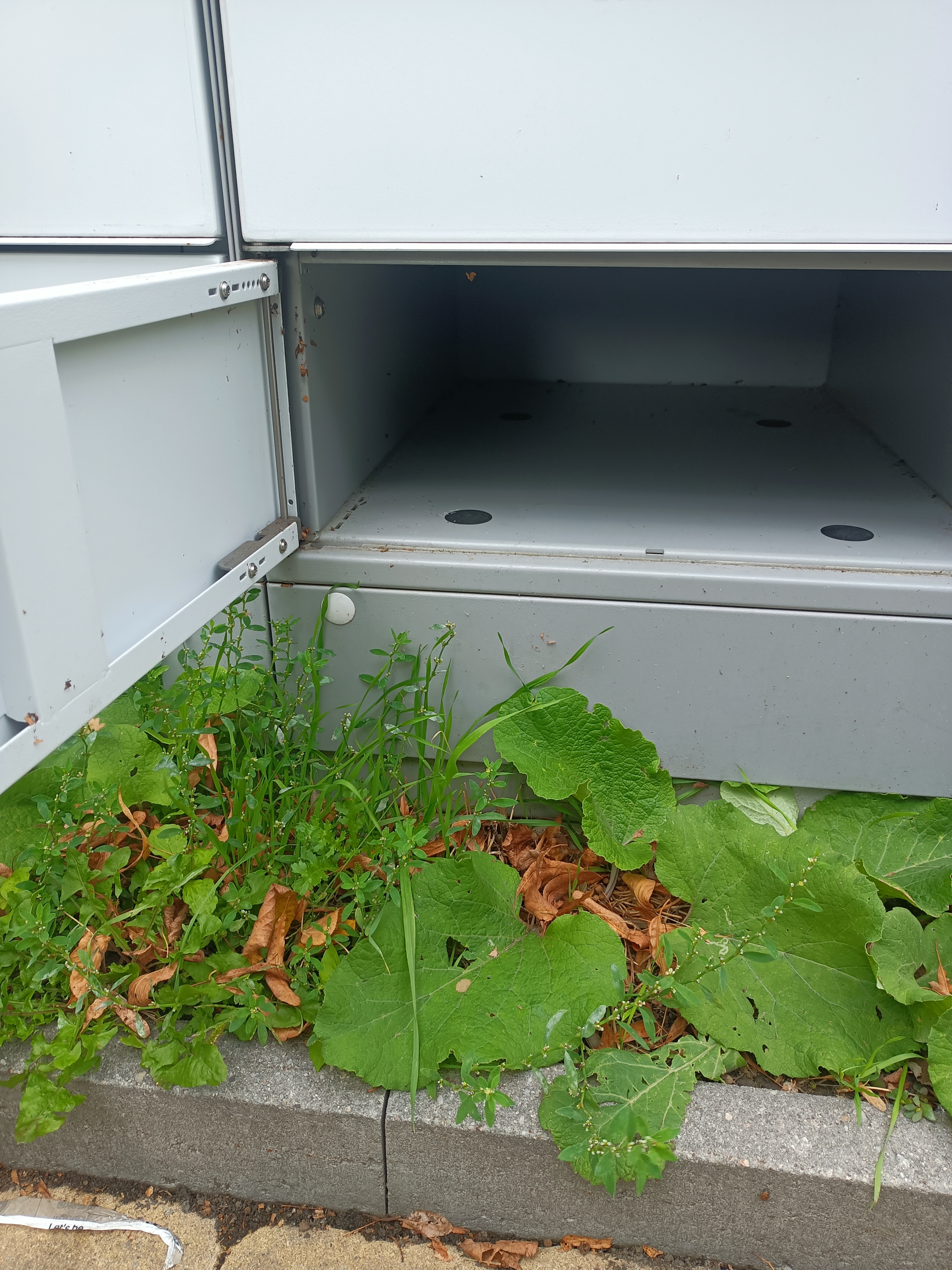 Z-BOX foto 1