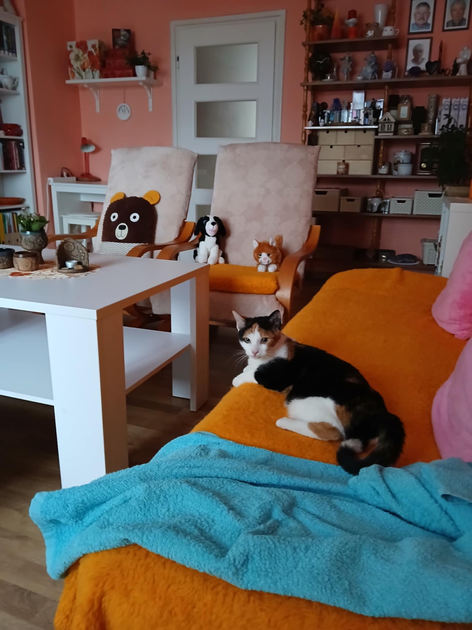 Dobré ruce, z.s. foto 5