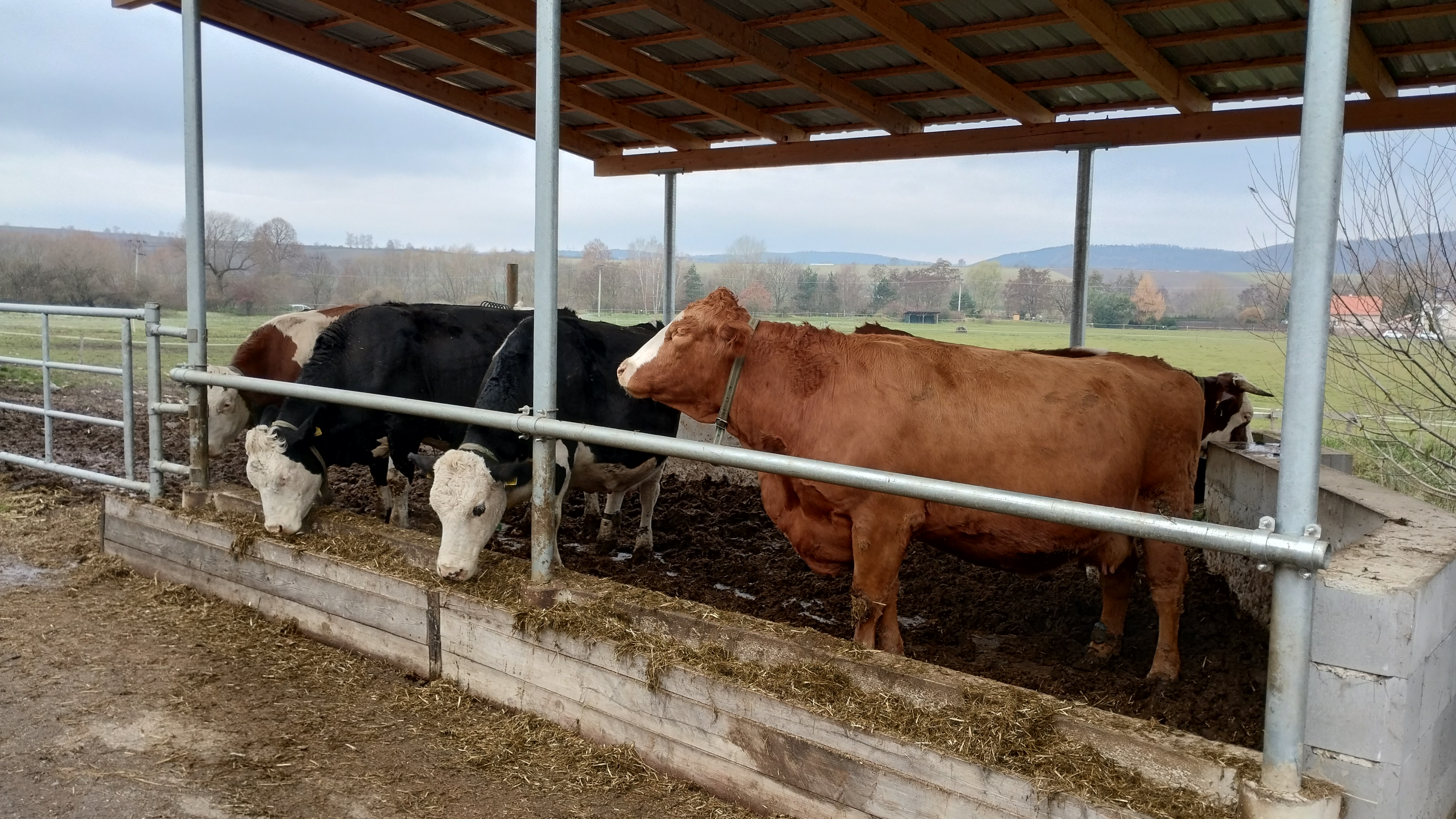 Farma Stehlík - mlékomat foto 5