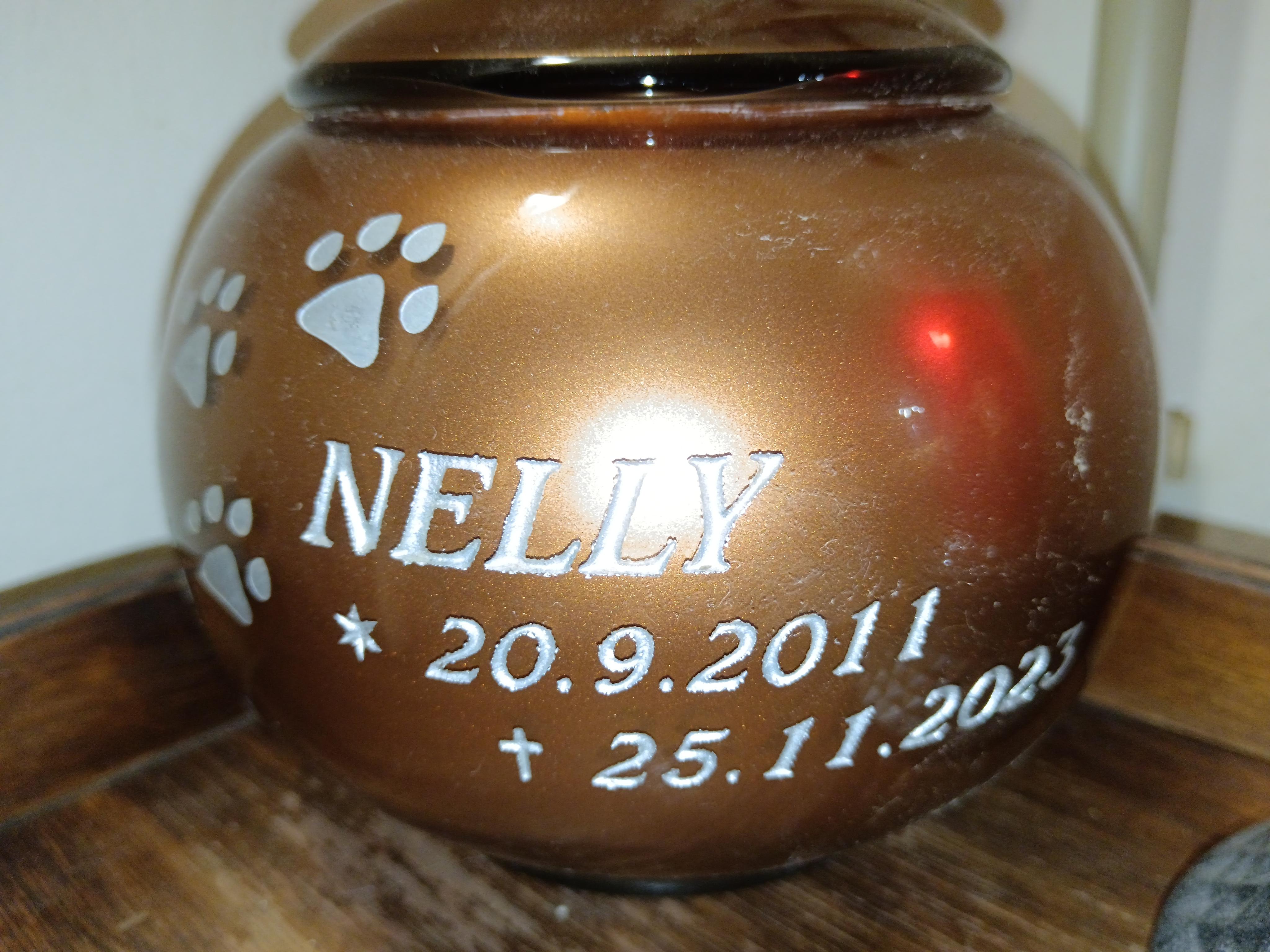 Veterinární klinika - MVDr. Jaroslav Valnoha foto 6