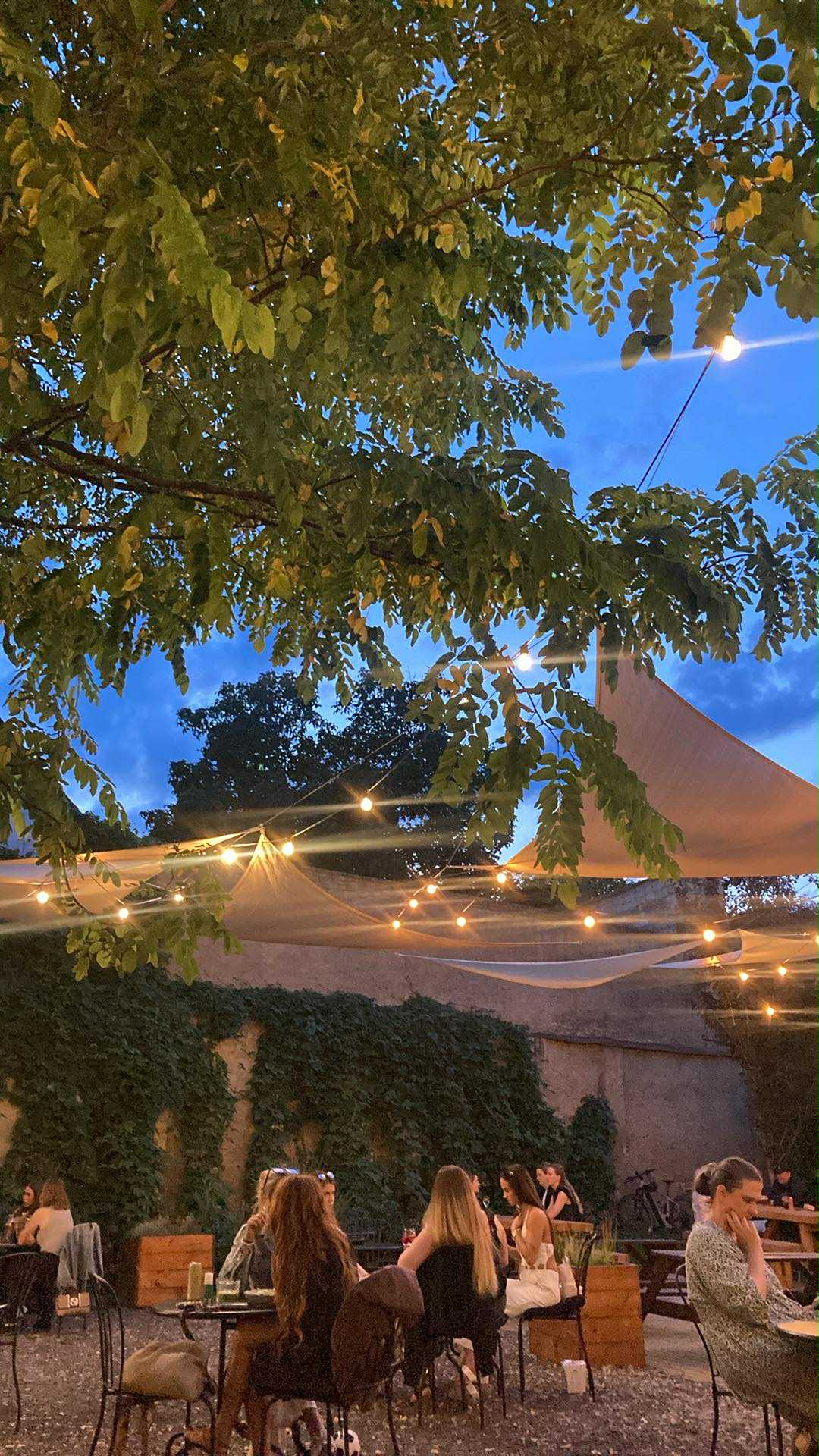 Labuť Garden foto 5