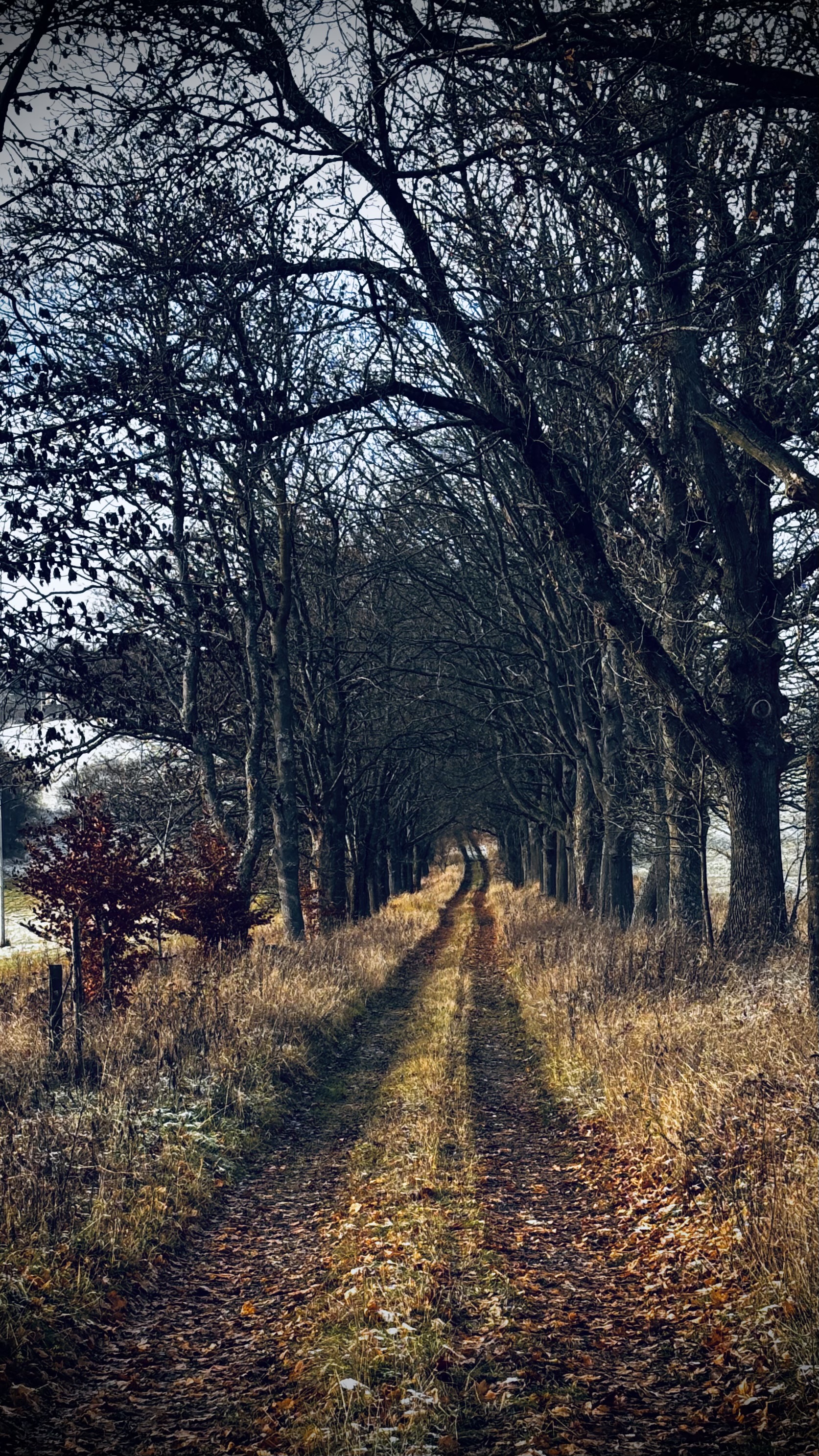 Opatství Nový Dvůr foto 3