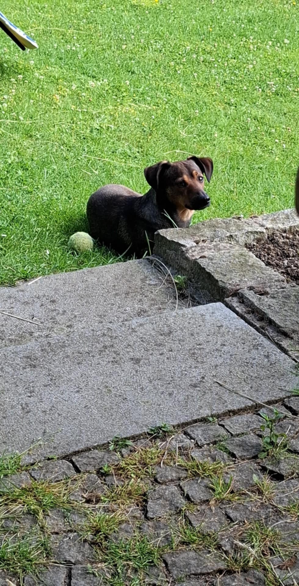 MVDr. Zuzana Uhříková foto 2