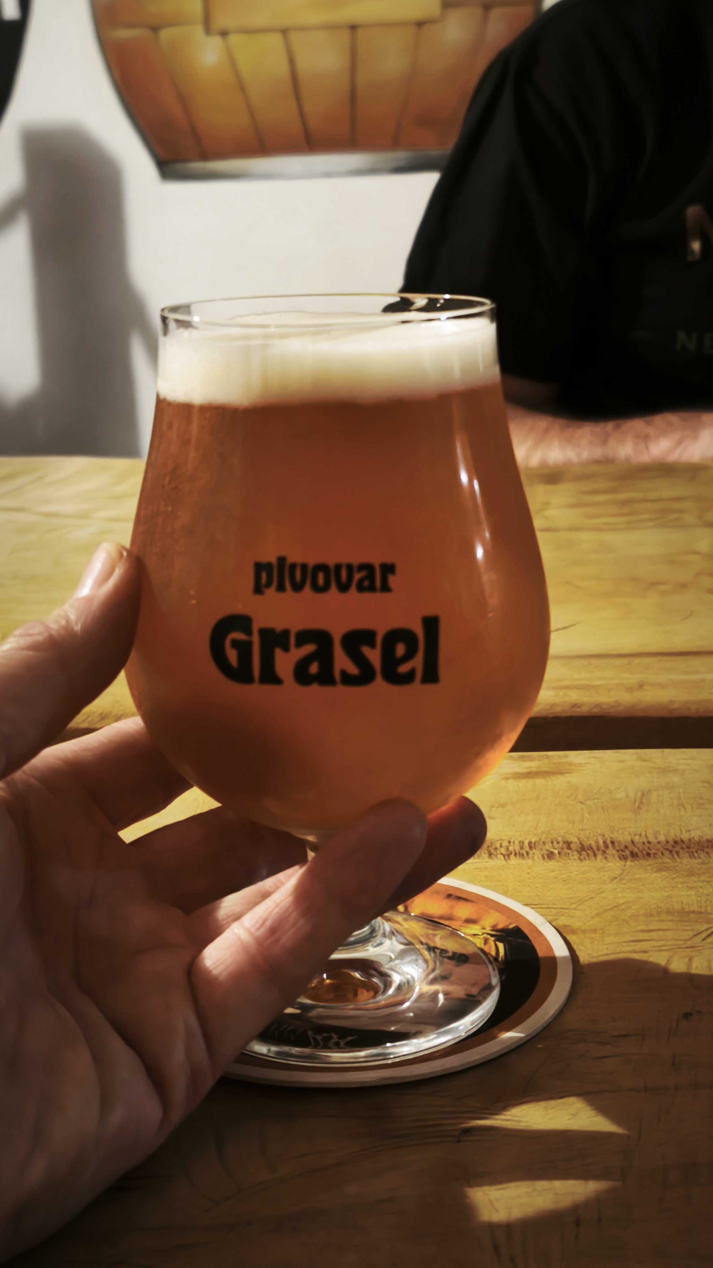 PENZION Grasel foto 6