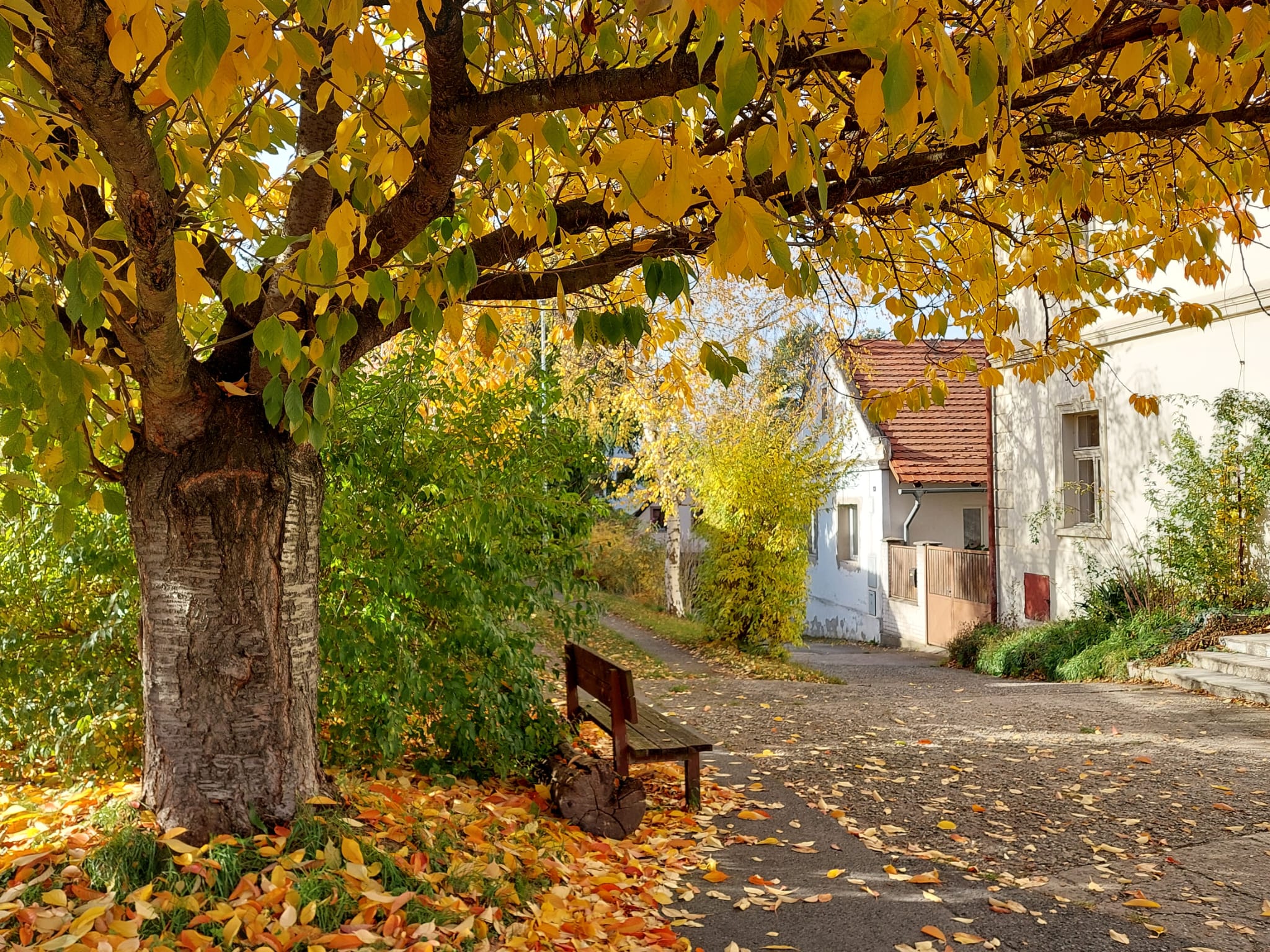 Hrad Jenštejn foto 6