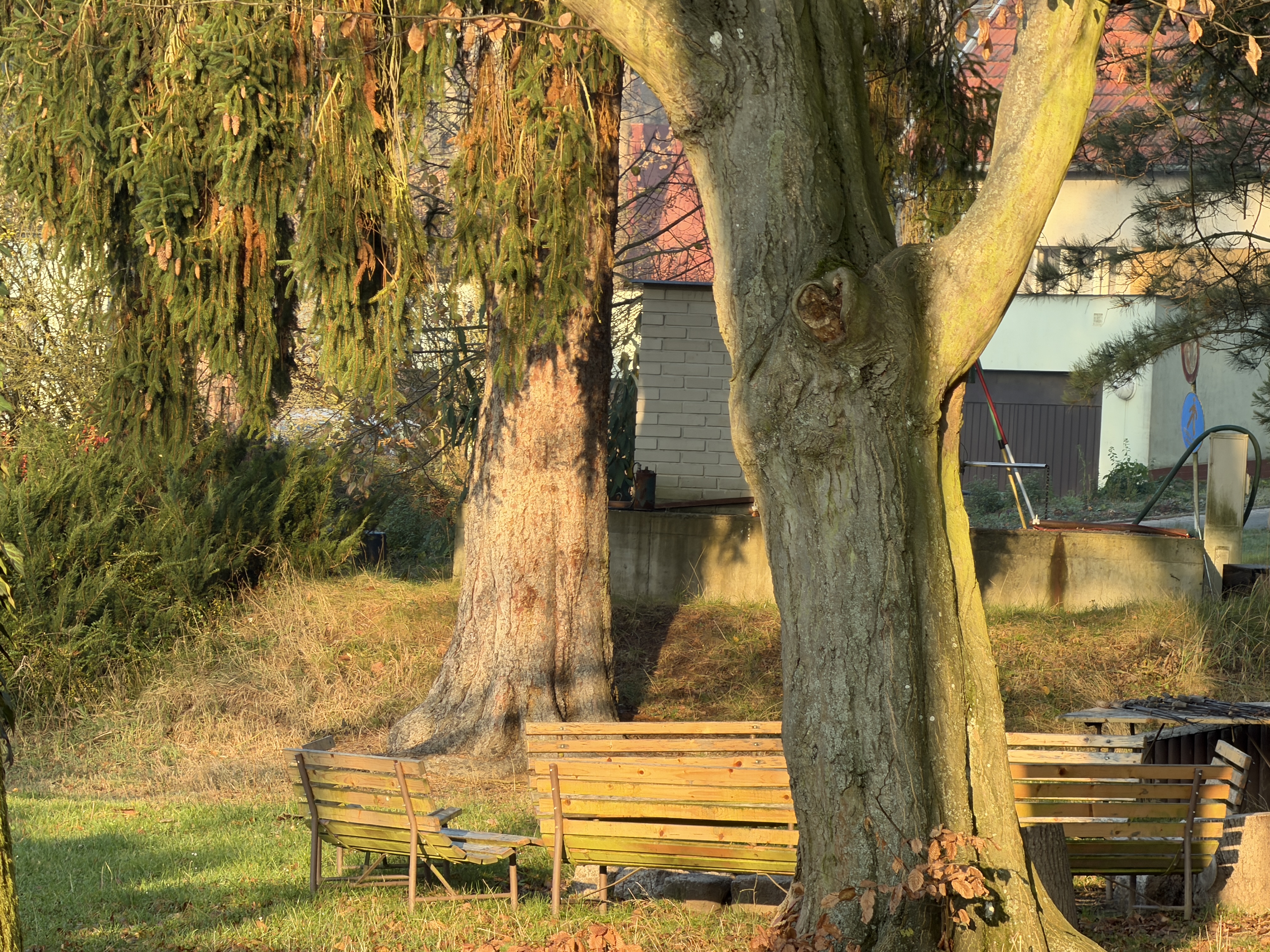 Církev adventistů sedmého dne - Adventistický teologický institut foto 5