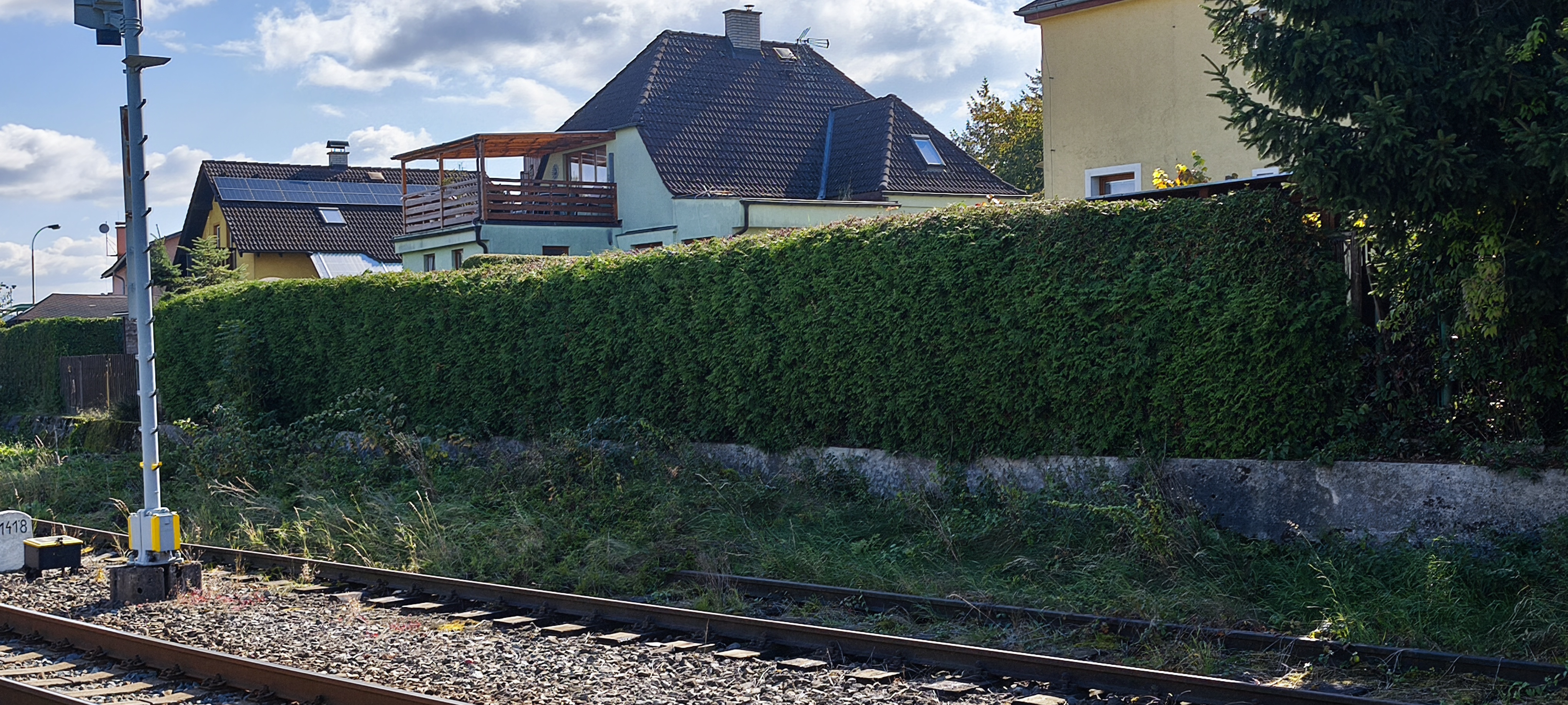 Kácení stromů - preriznuvse foto 2