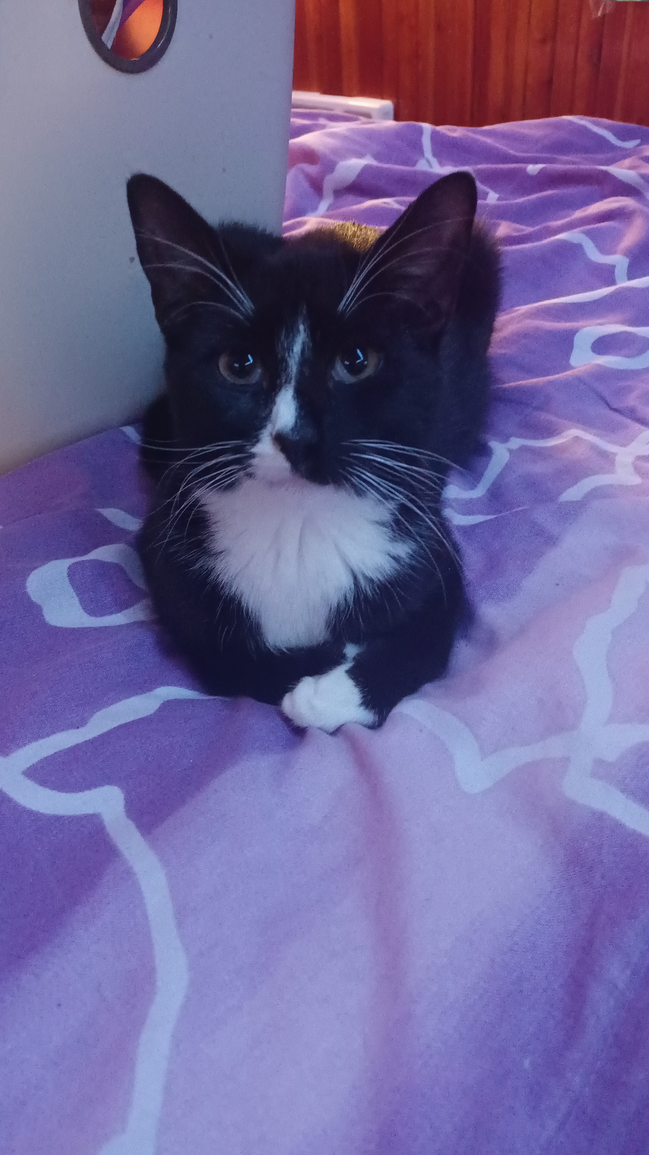 MVDr. Irina Žoluděva foto 4